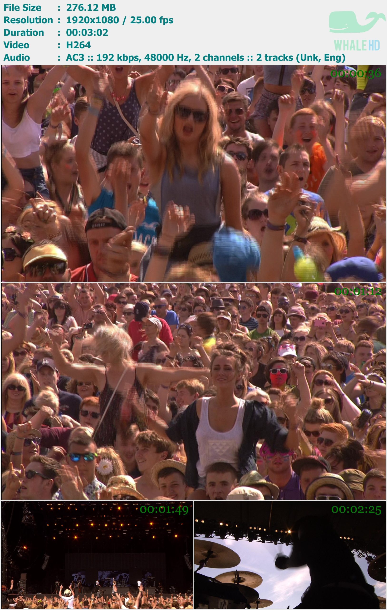 Rita Ora - Hot Right Now (T In The Park 2013) FEED 1080i H264 - 276.12MB