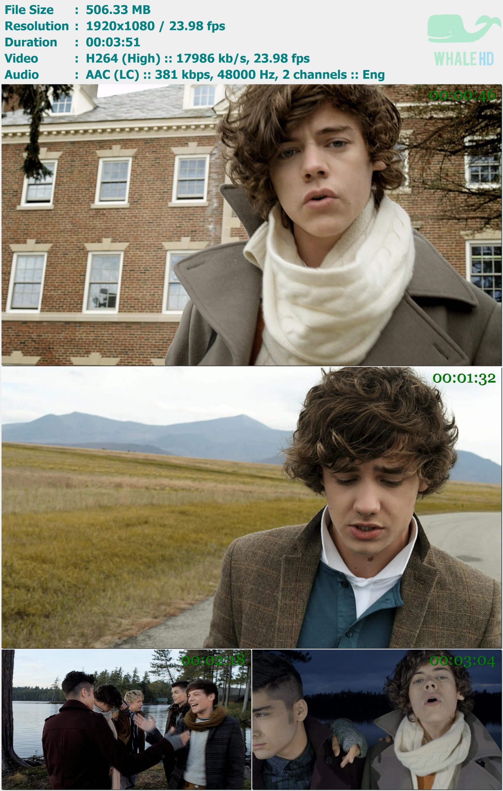 One Direction - Gotta Be You 2011 MasterRip 1080p H264 - 506.33MB