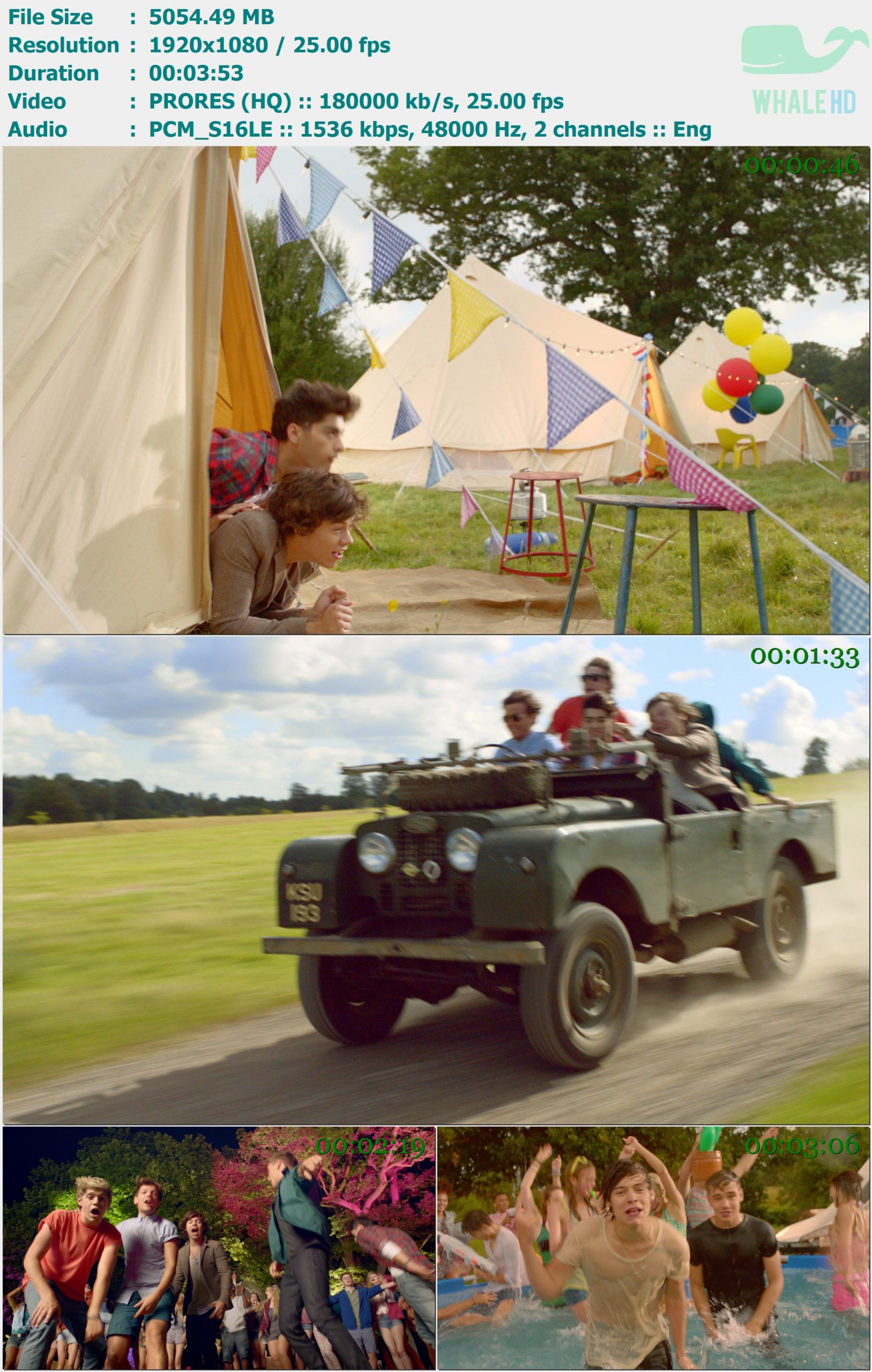 One Direction - Live While Were Young 2012 Master 1080p ProRes - 4.94GB