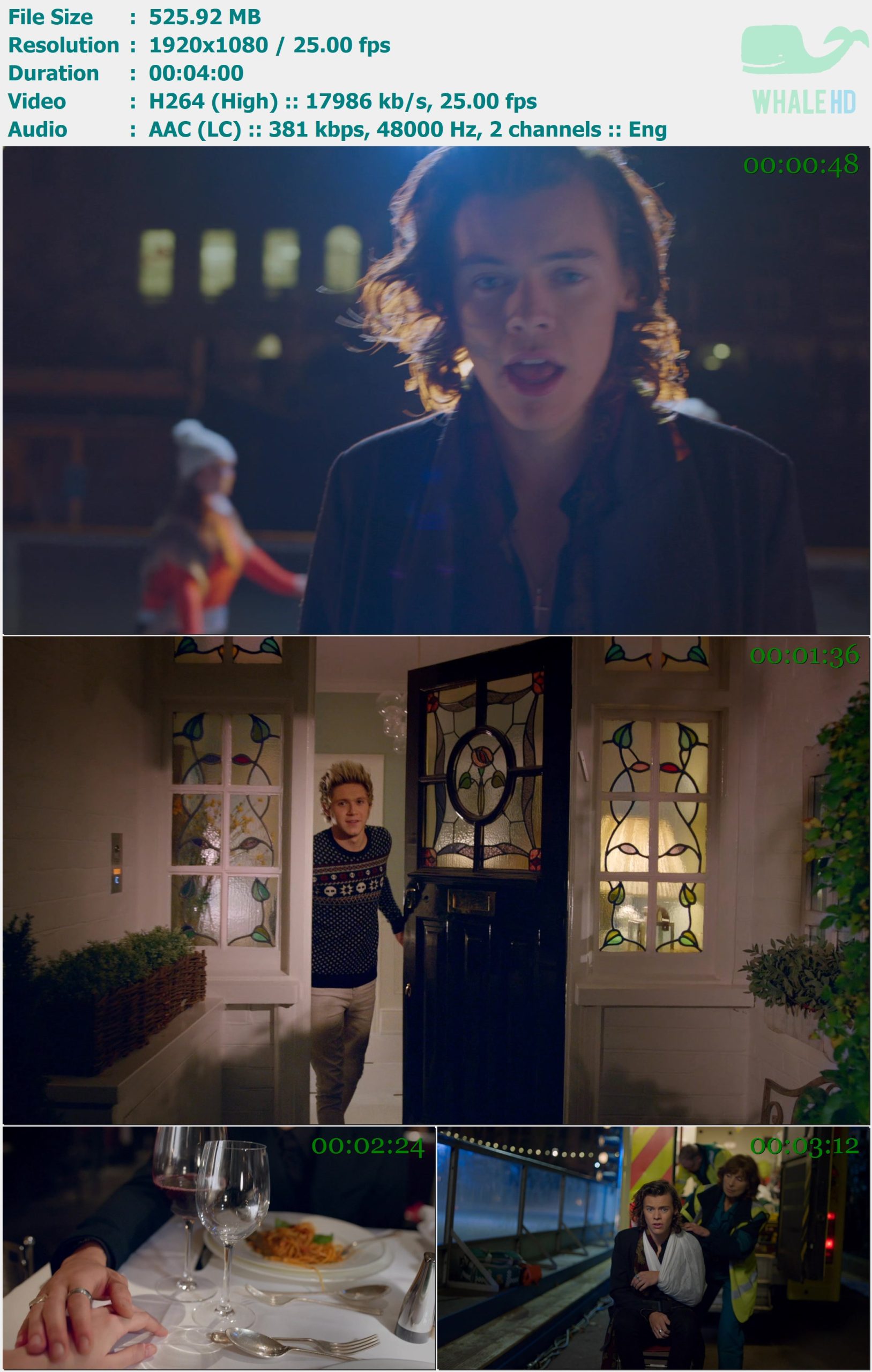 One Direction - Night Changes 2014 MasterRip 1080p H264 - 525.92MB