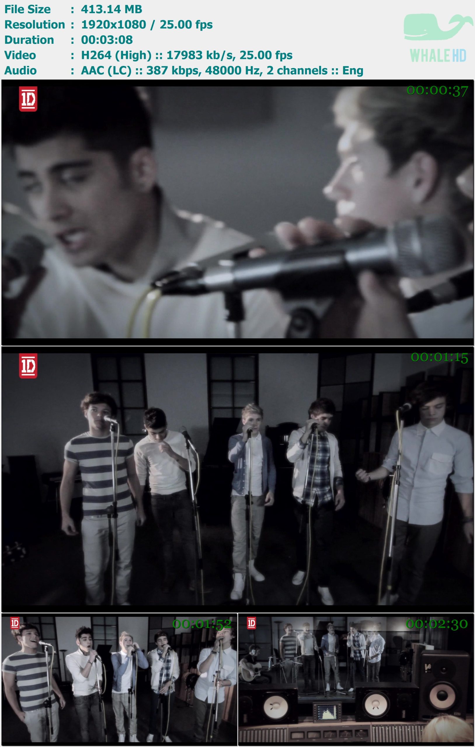 One Direction - One Thing 2011 MasterRip 1080p H264 - 413.14MB