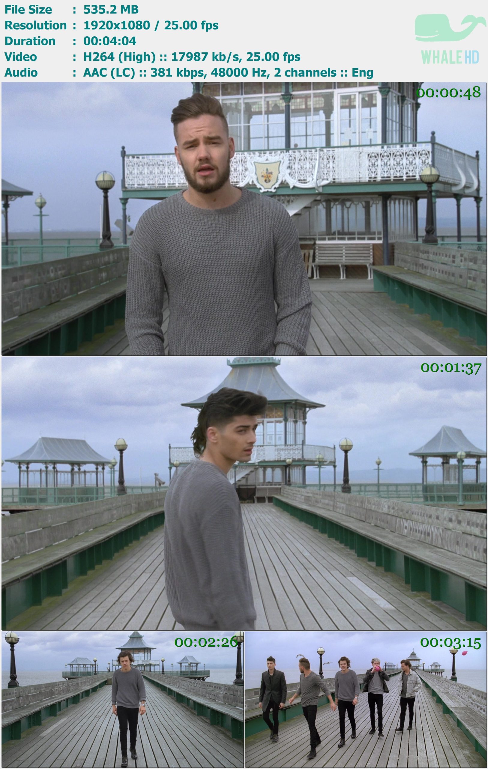 One Direction - You & I 2014 MasterRip 1080p H264 - 535.20MB