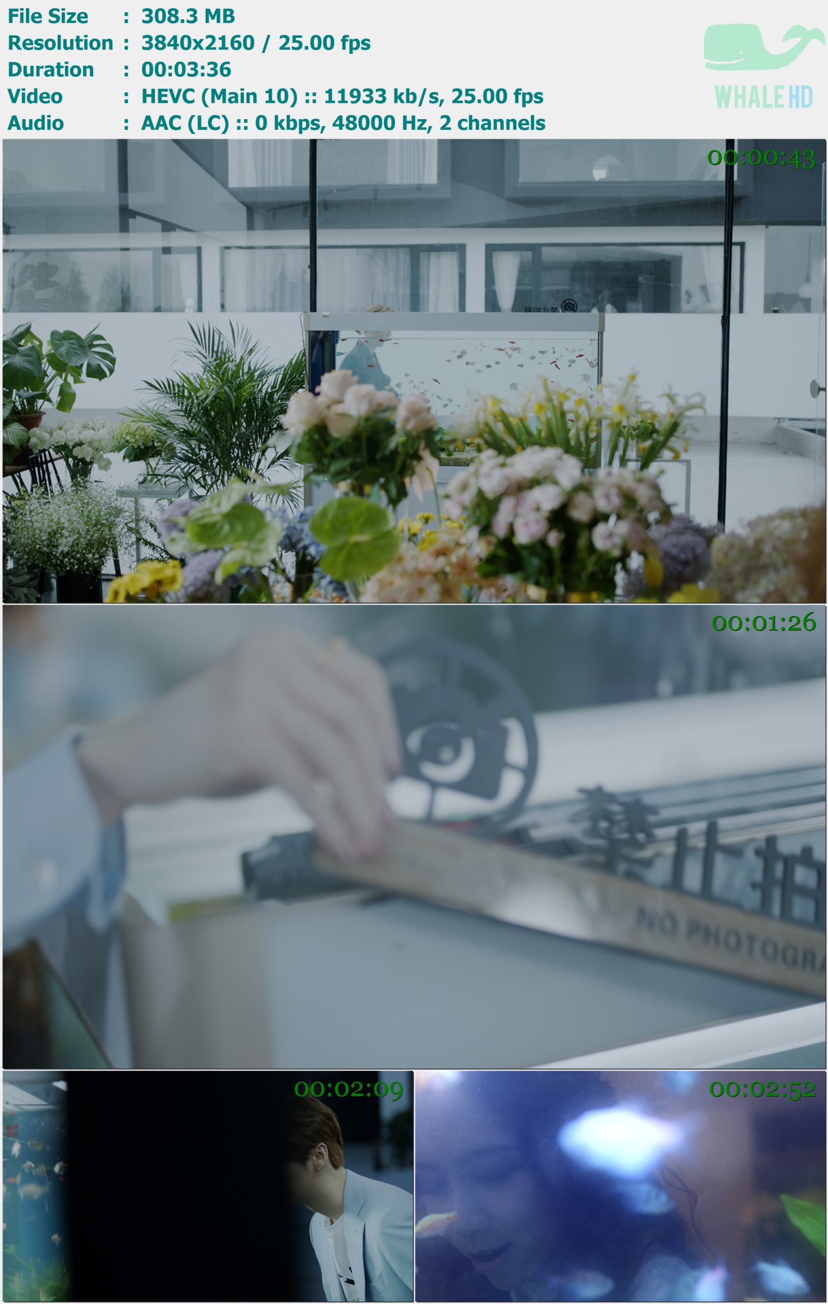 邓紫棋 - Missing You好想好想你 2021 AM 2160p H265 - 308.30MB