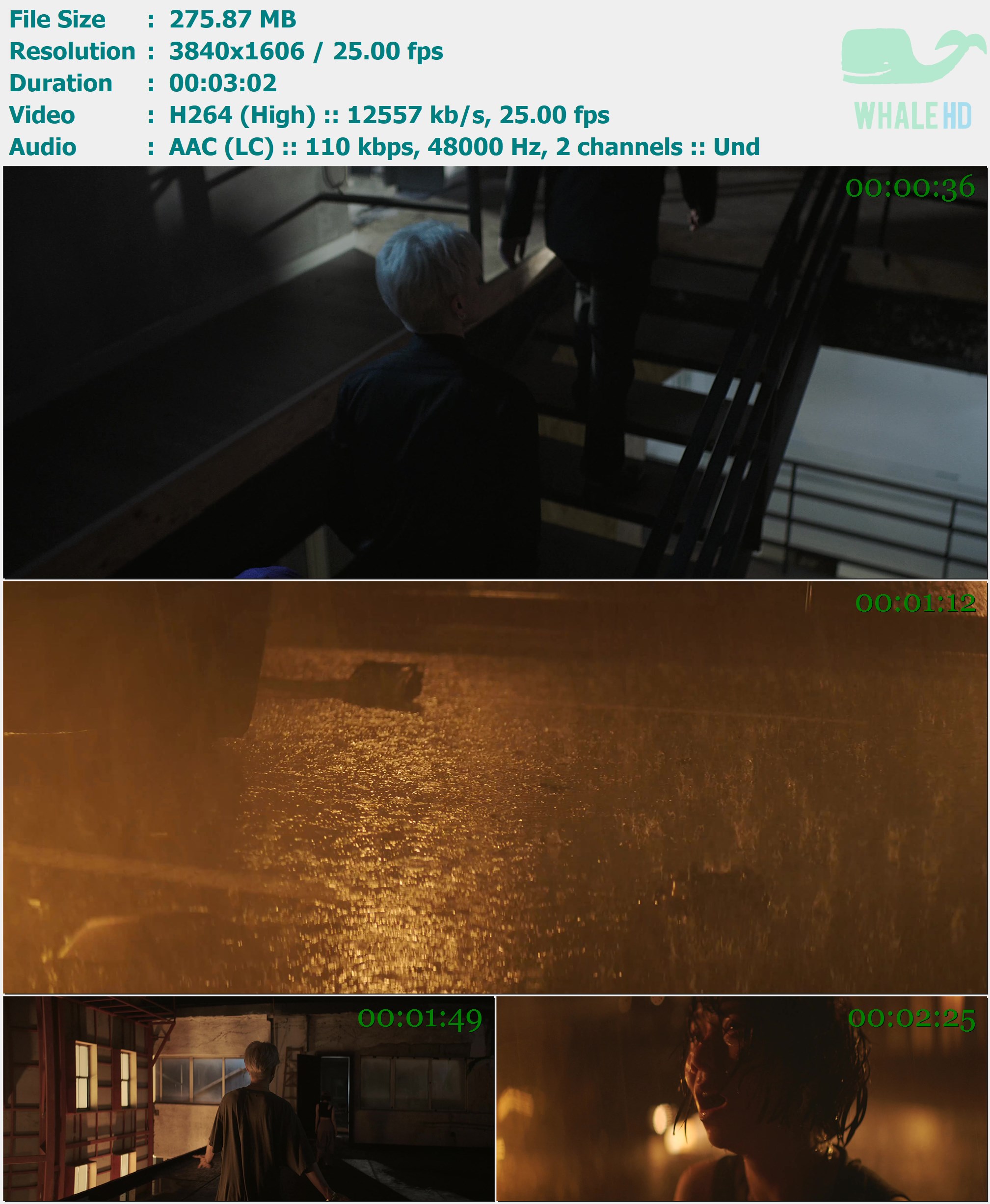 邓紫棋 - Pasión (西语版) 2022 WEB-DL 1606p H264 - 275.87MB
