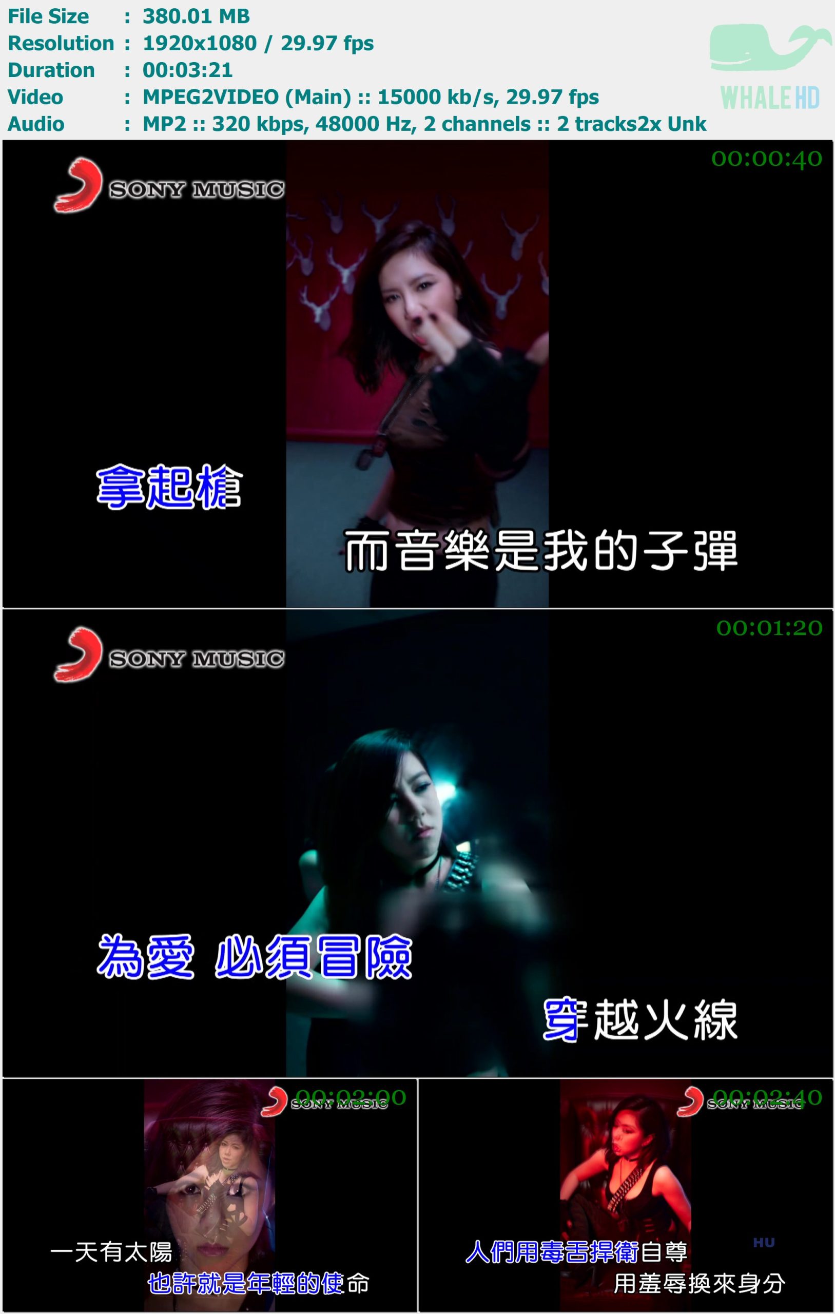 邓紫棋 - 穿越火线 (KTV版) 2017 MasterRip 1080p MPEG2 - 380.01MB