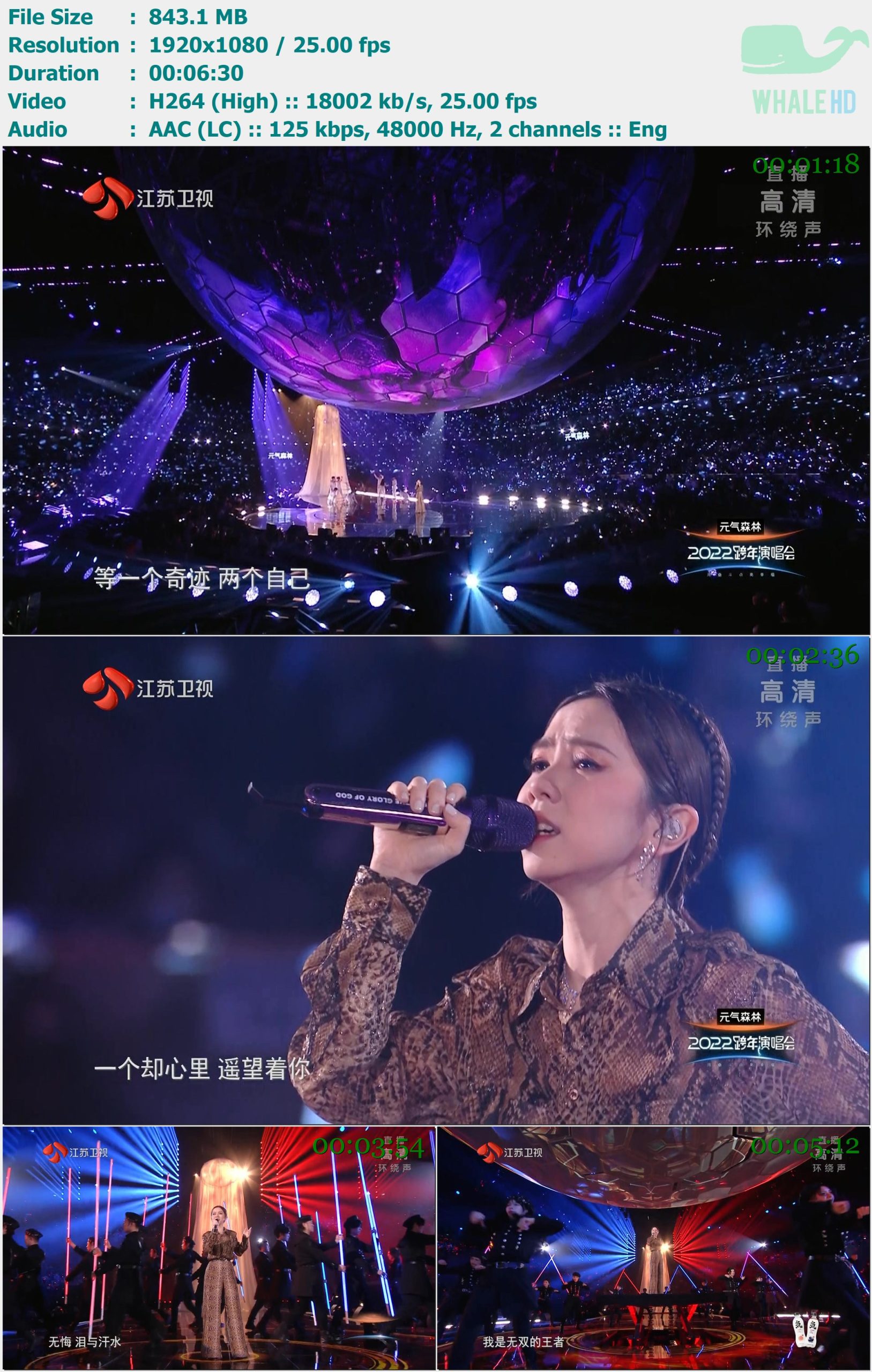 邓紫棋 - 两个自己 + 无双的王者 (2022年江苏卫视跨年演唱会) 2021.12.31 MasterRip 1080p H264 - 843.10MB
