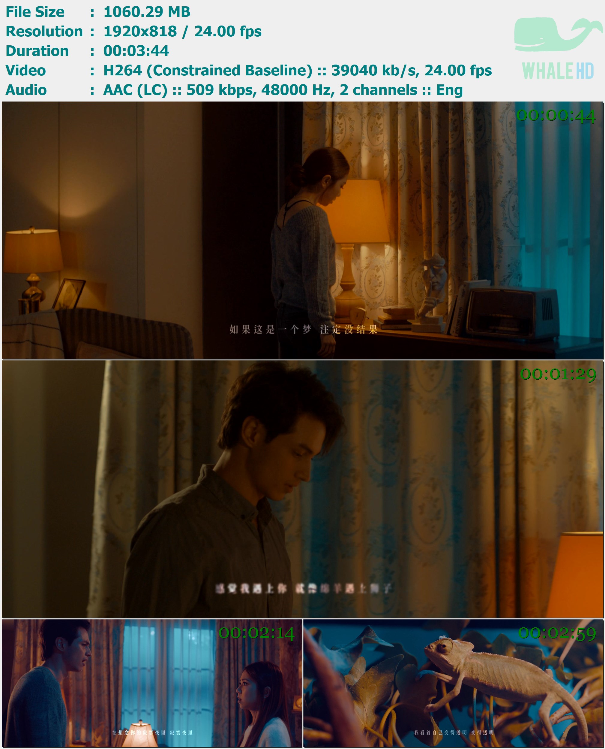 邓紫棋 - 透明 2019 MasterRip 818p H264 - 1.04GB