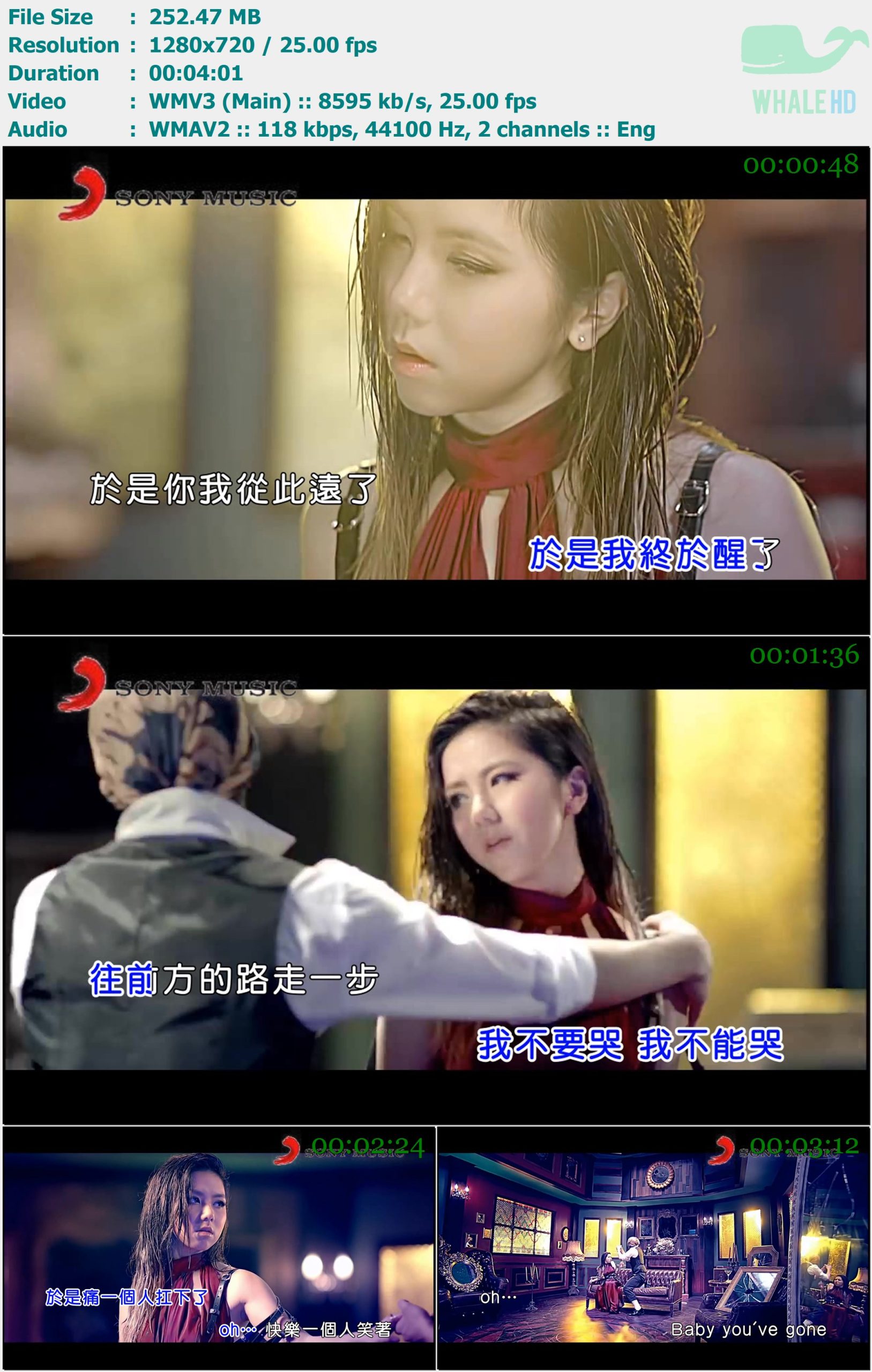 邓紫棋 - 于是 (KTV版) 2015 MasterRip 720p VC1 - 252.47MB