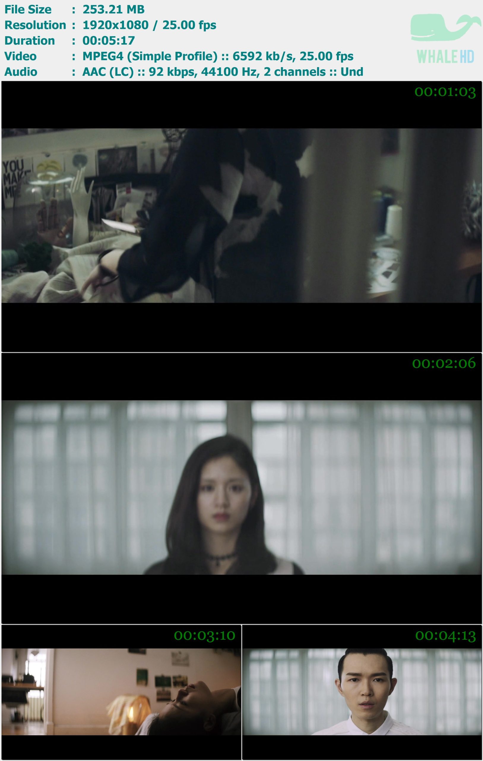 方大同 - 放不过自己 (简体报幕) 2016 MasterRip 1080p H263 - 253.21MB
