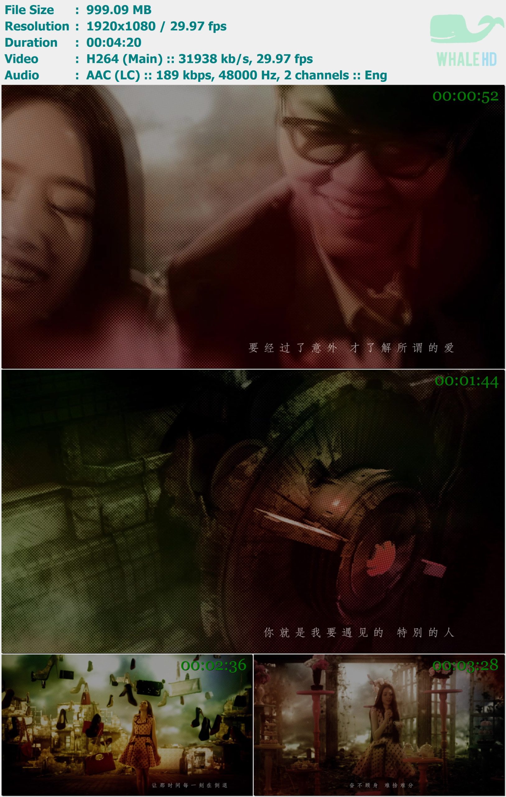方大同 - 特别的人 2014 MasterRip 1080p H264 - 999.09MB