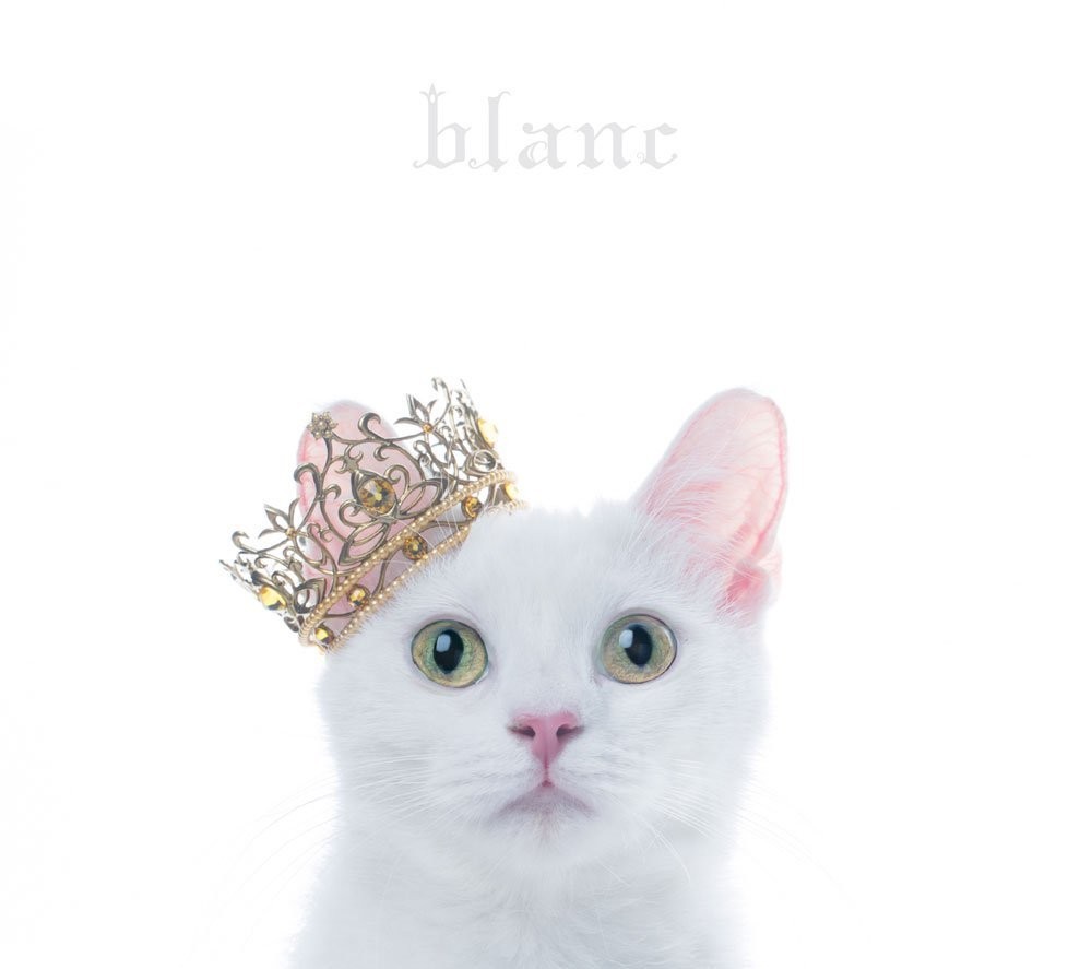 Aimer - BEST SELECTION “blanc” 2017 BD蓝光原盘+CD 1080i H264 - 19.06GB