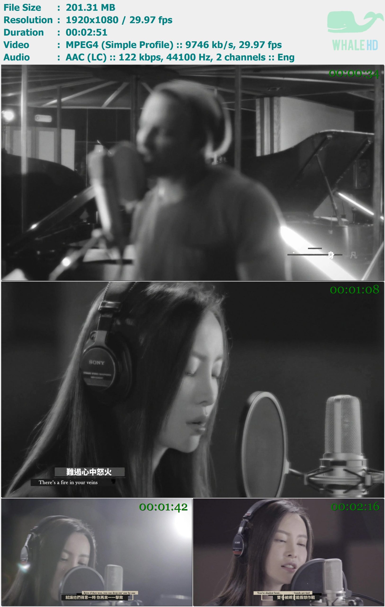 Daniel Powter, 于文文 - Survivor 2018 MasterRip 1080p H263 - 201.31MB
