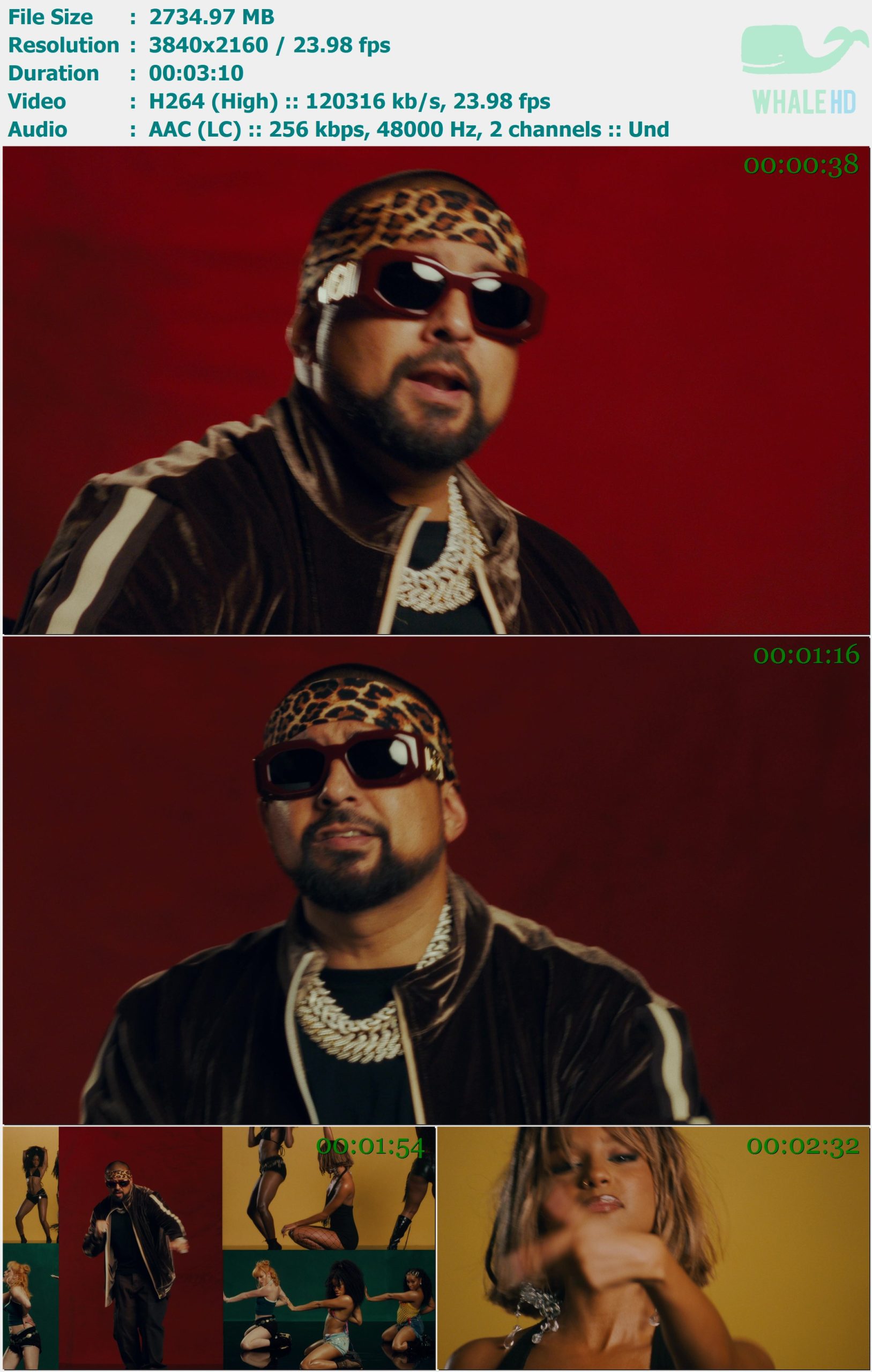 Tyla, Sean Paul - PUSH 2 START (REMIX) 2025 MasterRip 2160p H264 - 2.67GB