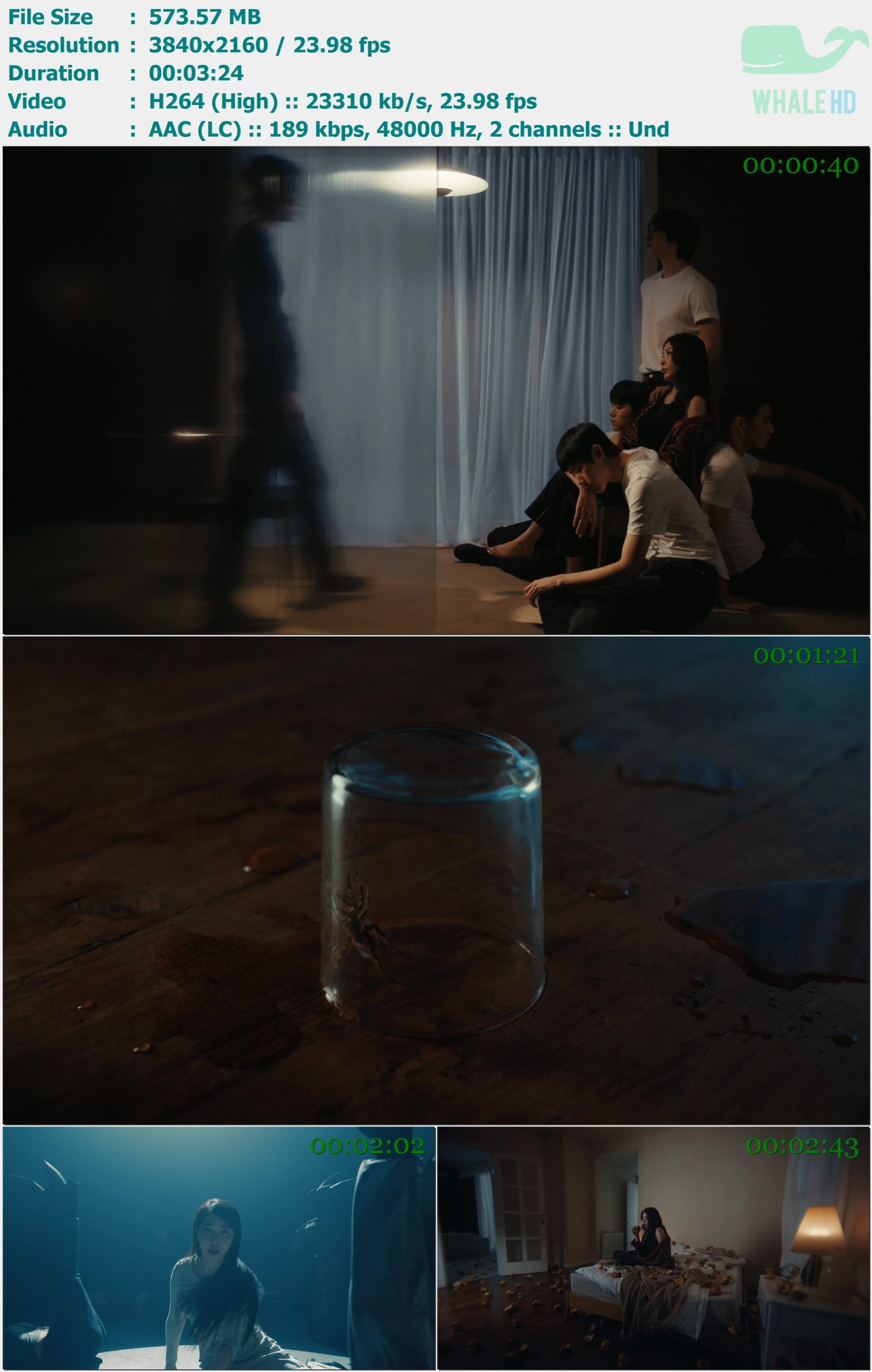 BOA - Emptiness 2024 WEB-DL 2160p H264 - 573.57MB