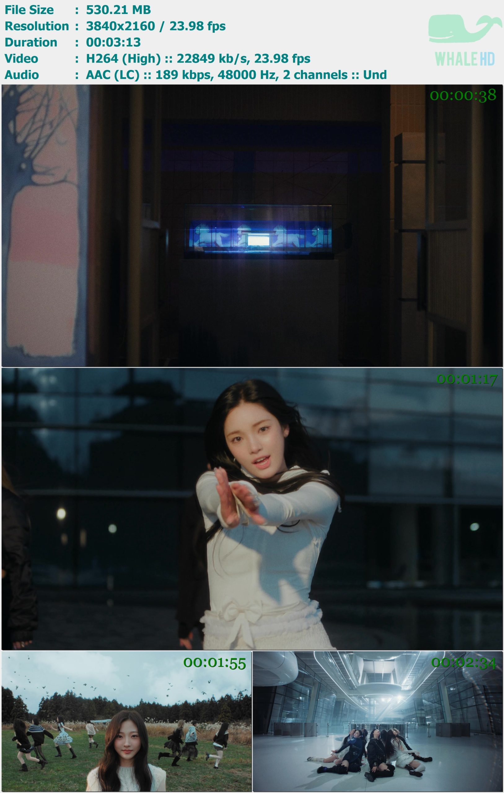 Hearts2Hearts - The Chase 2025 WEB-DL 2160p H264 - 530.21MB