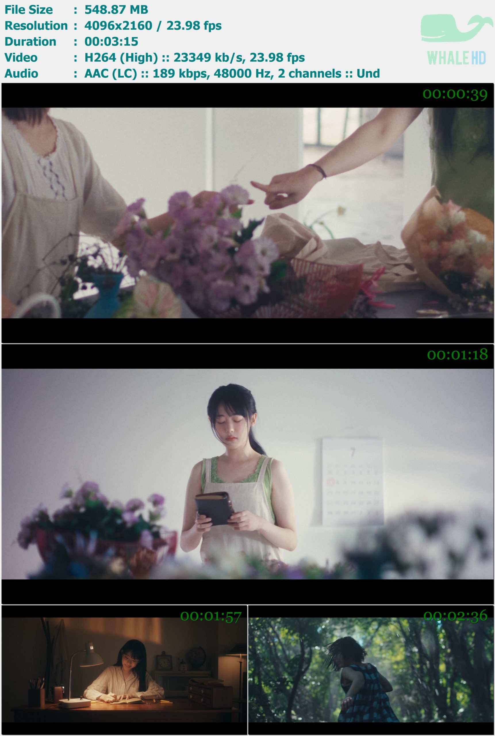 QWER - 내_이름_맑음 My Name is Malguem 2024 WEB-DL 2160p H264 - 548.87MB