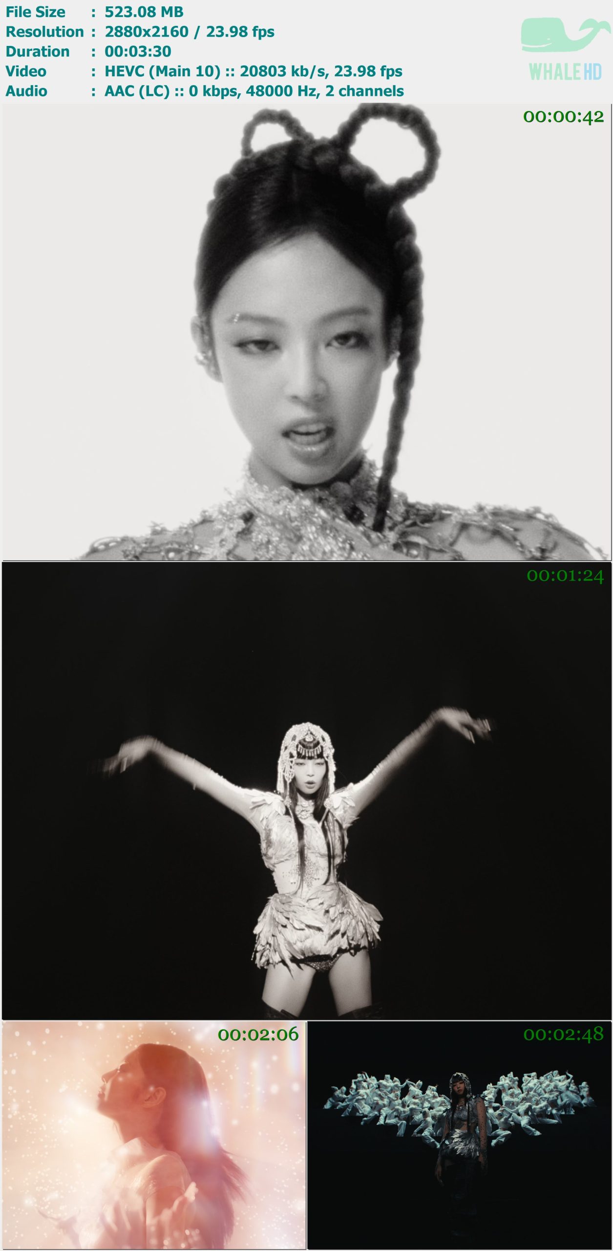 JENNIE - ZEN 2025 AM 2160p H265 - 523.08MB