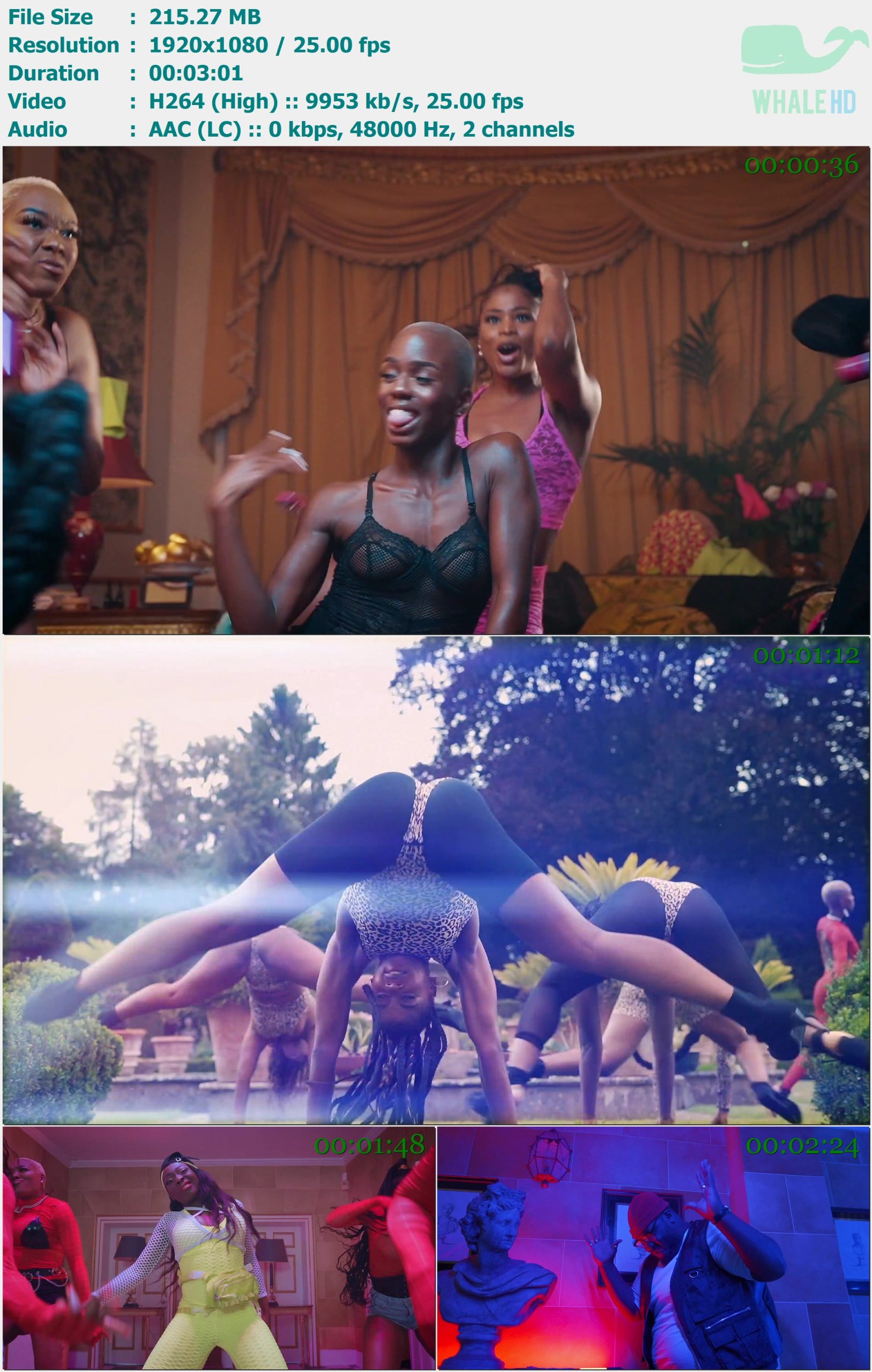 Mr Eazi & Major Lazer feat. Nicki Minaj & K4mo - Oh My Gawd [Dance Video] 2020 AM 1080p H264 - 215.27MB
