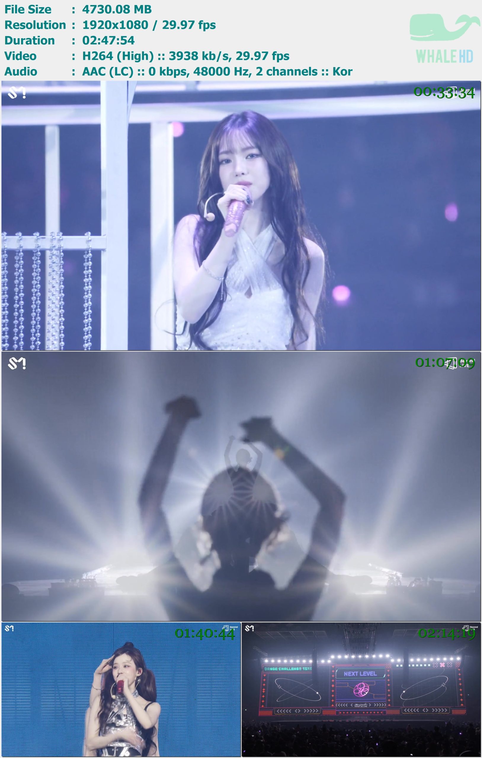 aespa - LIVE TOUR - SYNK : PARALLEL LINE - ENCORE 2025-03-16 中字 WEB-DL 1080p H264 - 4.62GB