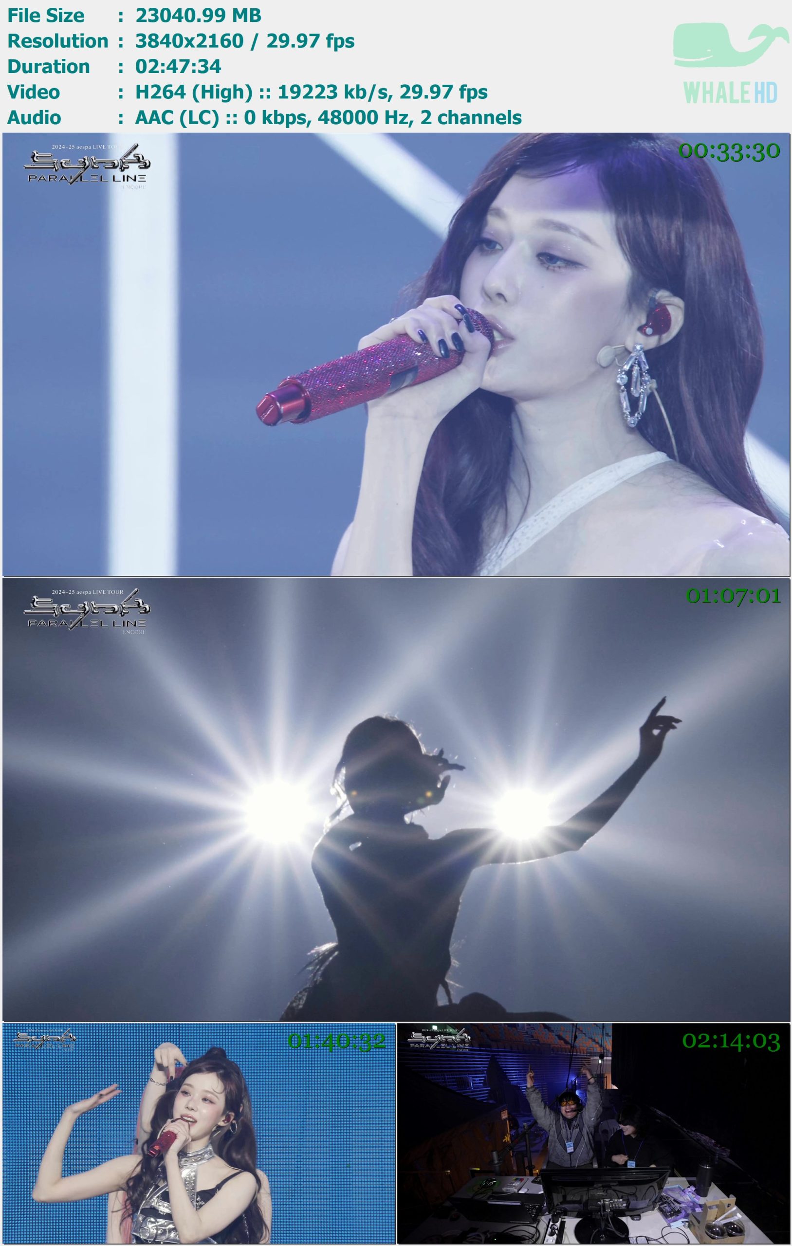 aespa - LIVE TOUR - SYNK : PARALLEL LINE - ENCORE 2025-03-16 中字 WEB-DL 2160p H264 - 22.50GB