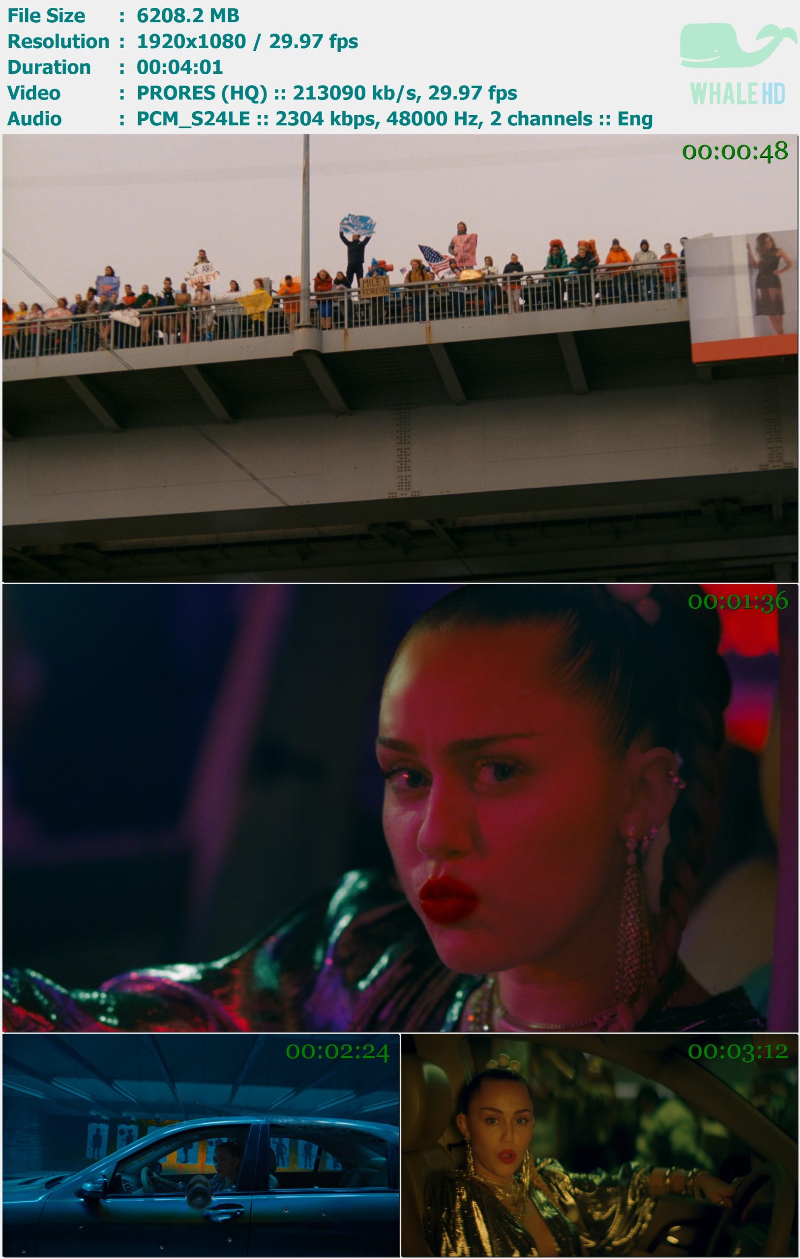 Mark Ronson, Miley Cyrus - Nothing Breaks Like a Heart 2018 Master 1080p ProRes - 6.06GB