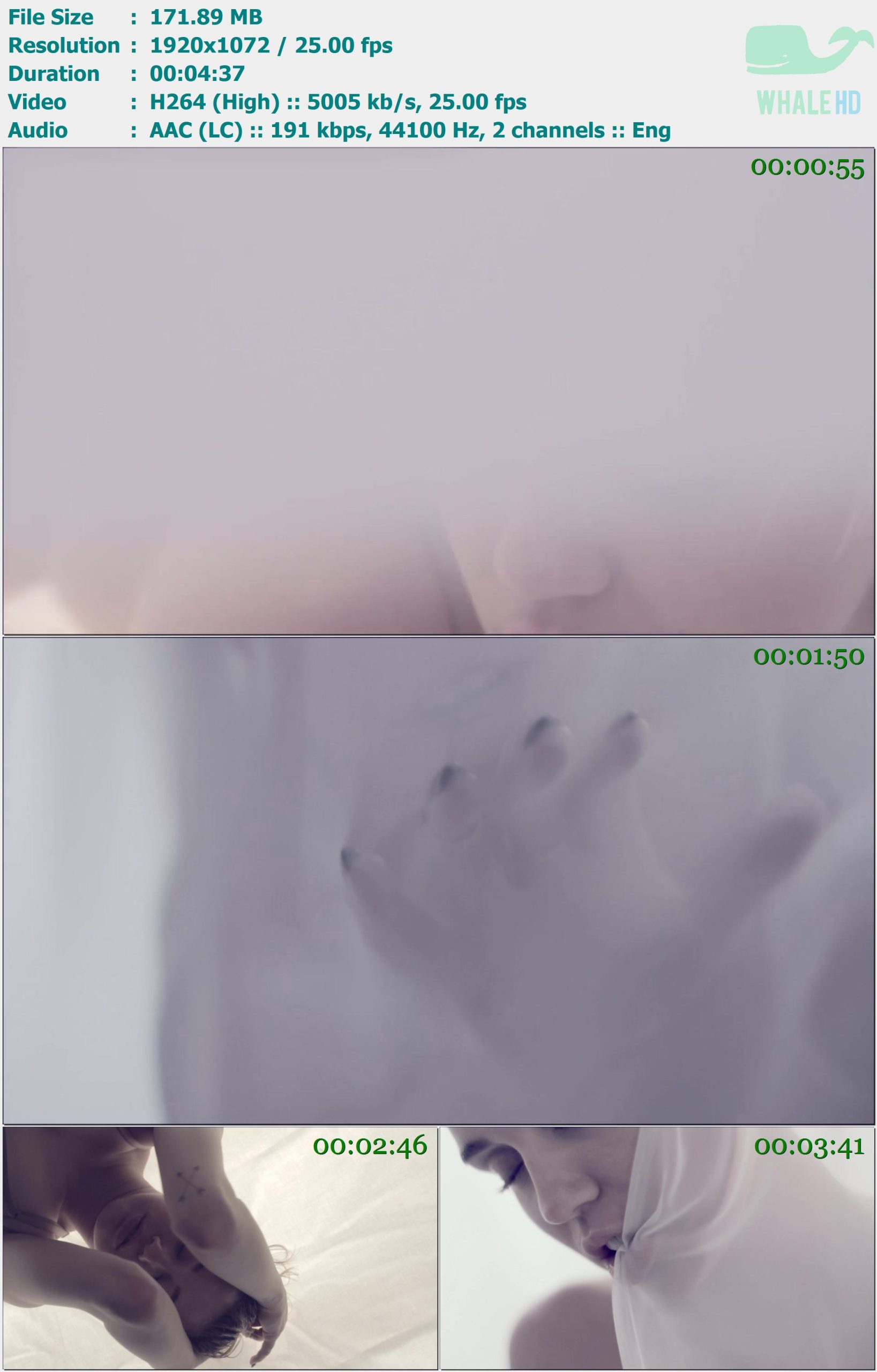Miley Cyrus - Adore You 2013 𝐕𝐄𝐕𝐎 1072p H264 - 171.89MB