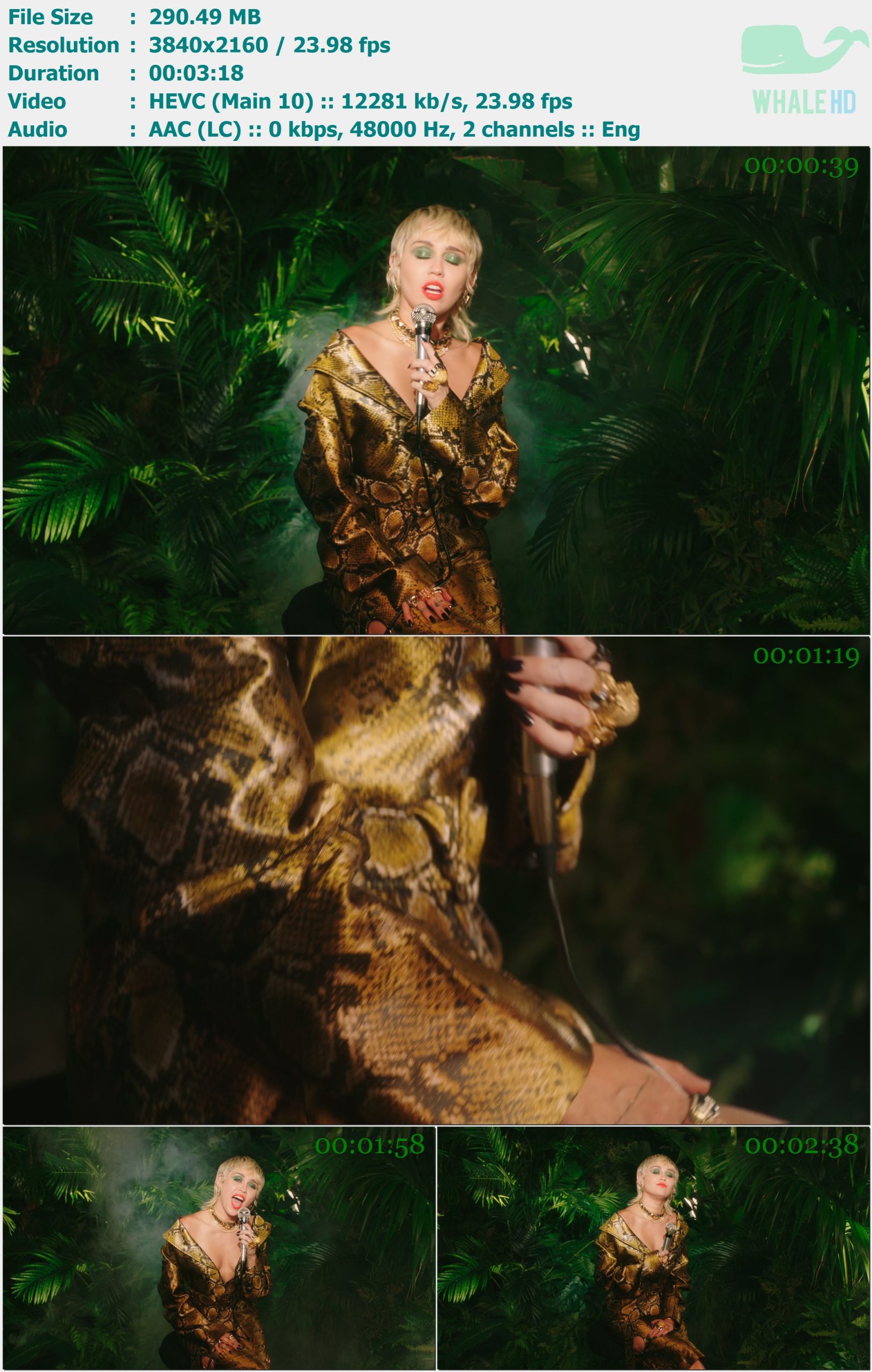 Miley Cyrus - High - [Apple Music Backyard Sessions] 2020 AM 2160p H265 - 290.49MB