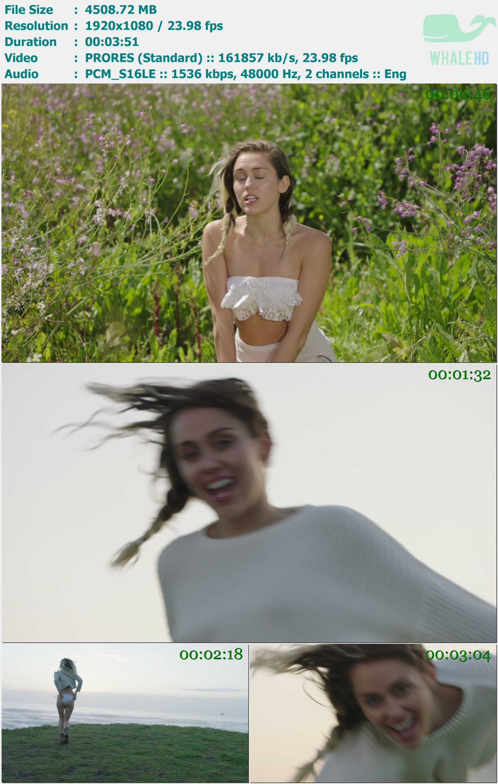 Miley Cyrus - Malibu 2017 Master 1080p ProRes - 4.40GB