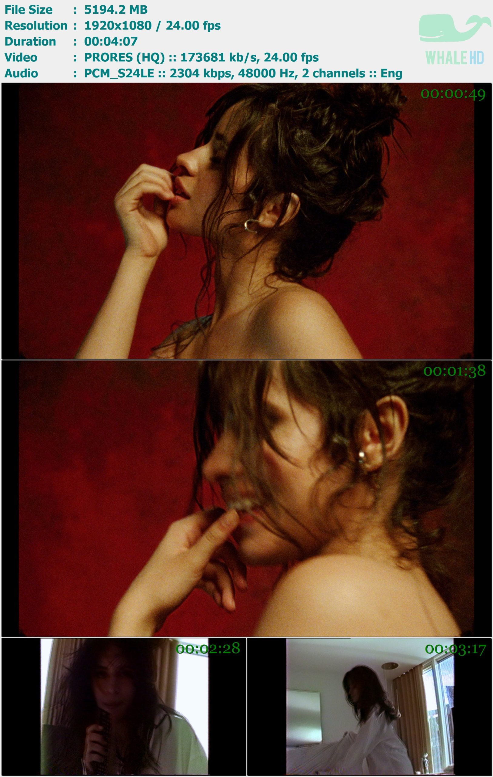 Camila Cabello - Never be the Same 2018 Master 1080p ProRes - 5.07GB