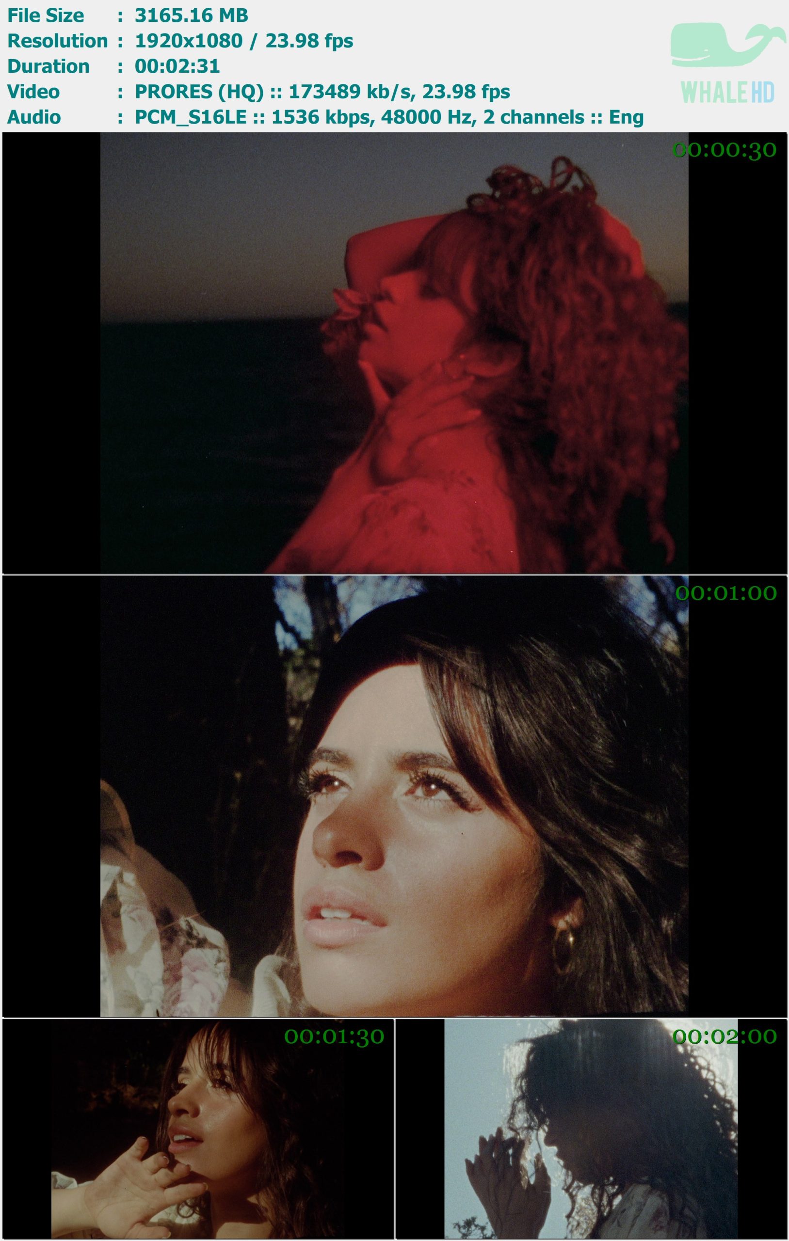 Camila Cabello - What Do I Know About Love 2019 Master 1080p ProRes - 3.09GB