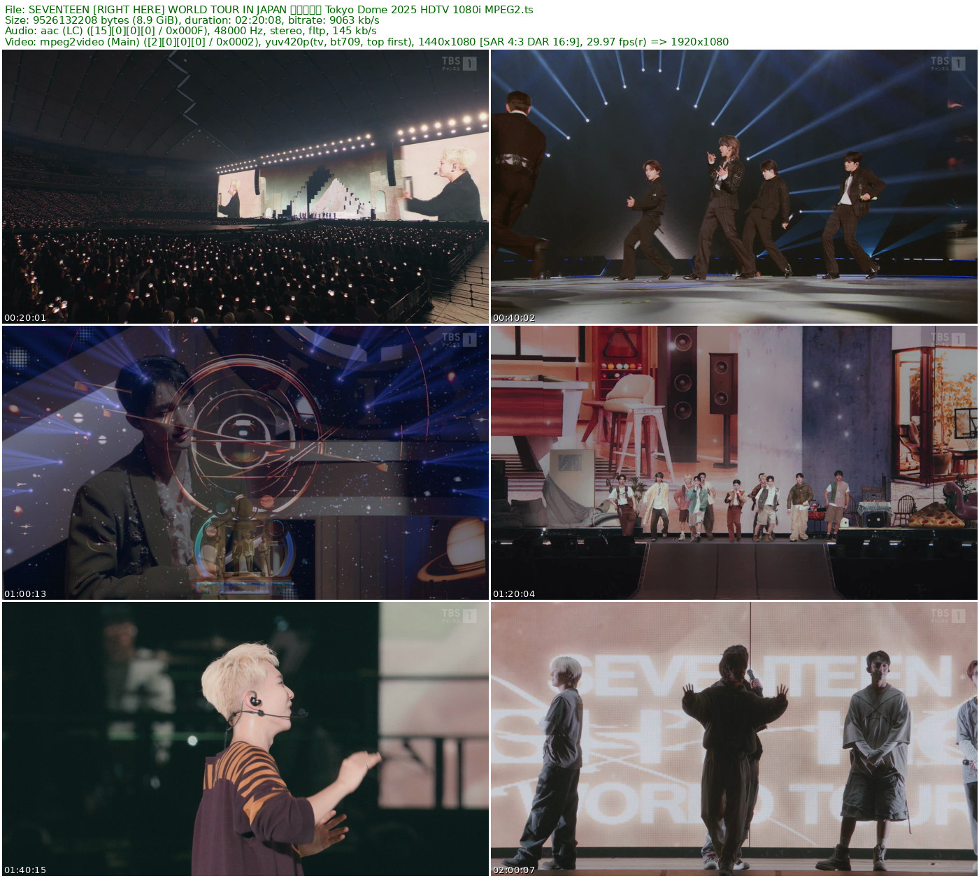 SEVENTEEN [RIGHT HERE] WORLD TOUR IN JAPAN 東京ドーム Tokyo Dome 2025 HDTV 1080i MPEG2 - 8.87GB