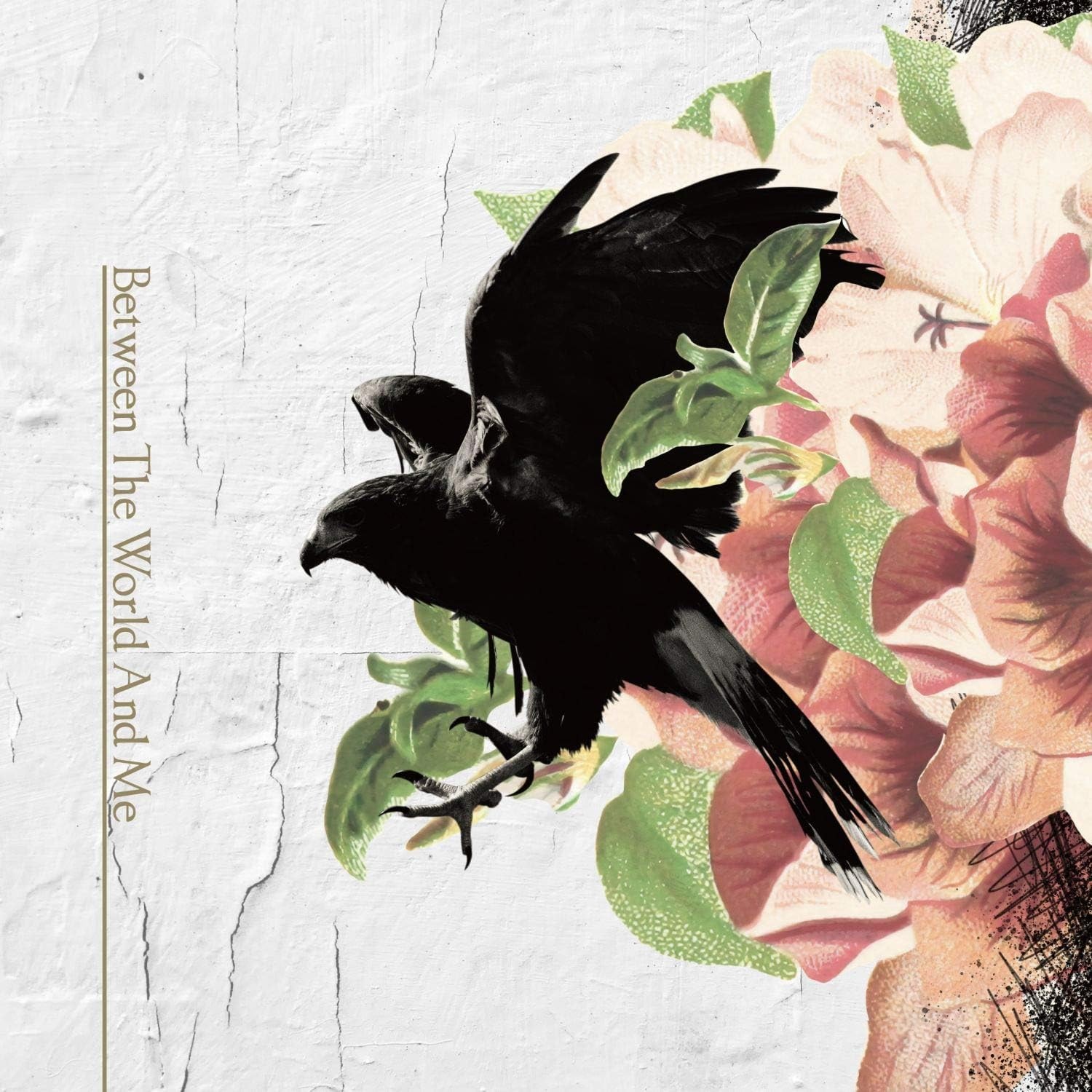 INORAN - Between The World And Me 2021 BD蓝光原盘 1080i H264 - 22.72GB