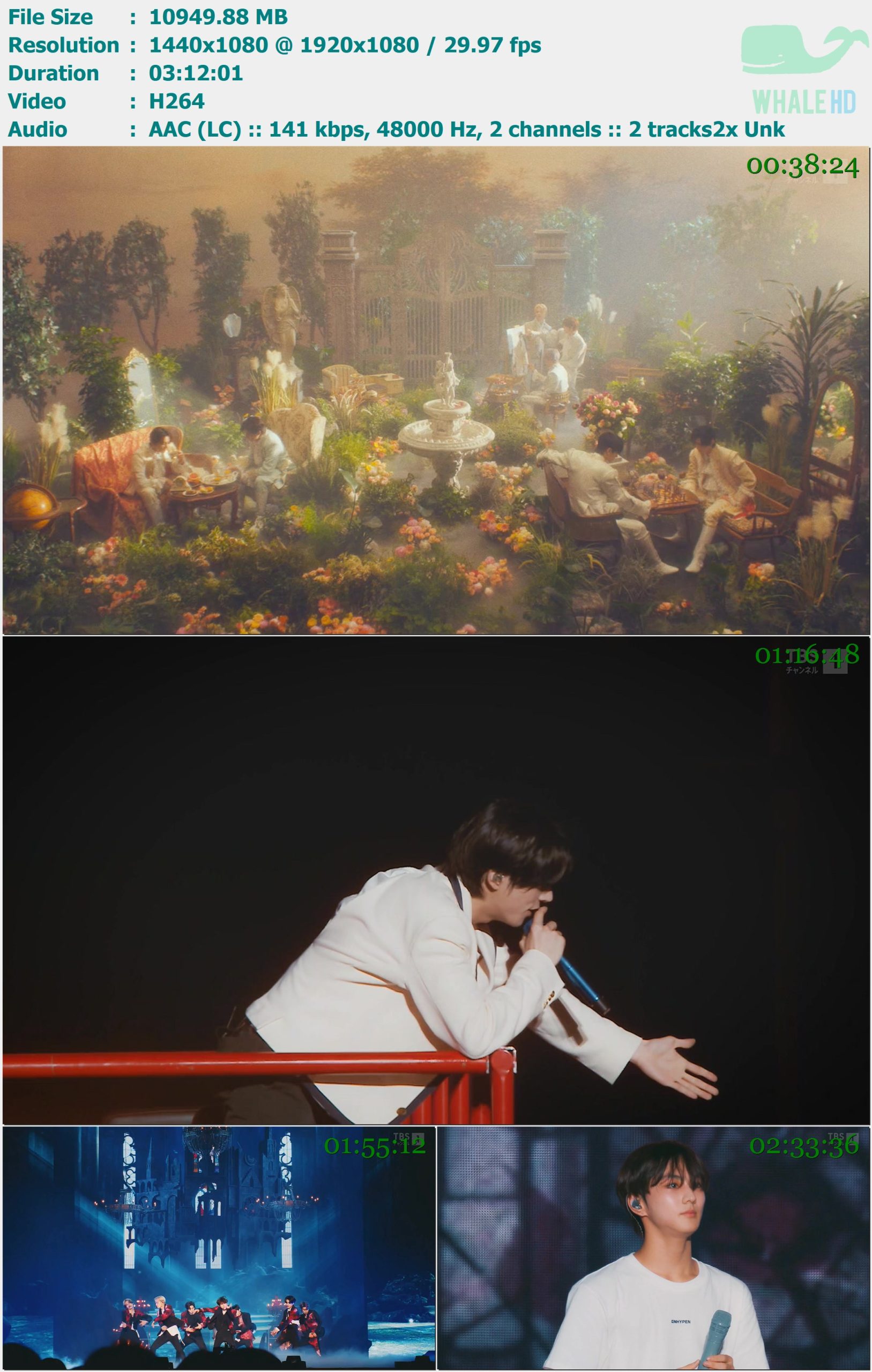 ENHYPEN WORLD TOUR 'FATE' IN JAPAN 東京ドーム 全曲ノーカット版 2023 (2025) HDTV 1080i H264 - 10.69GB