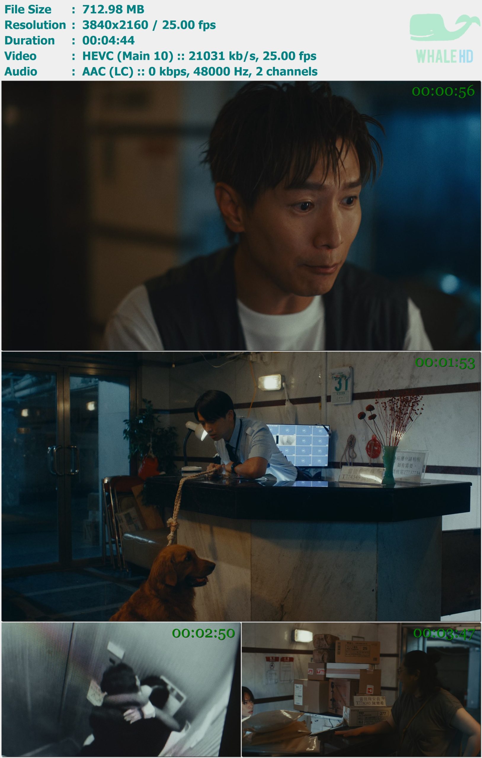 陈柏宇 (Jason Chan) feat. Yellow!- 唞 REST 2024 AM 2160p H265 - 712.98MB