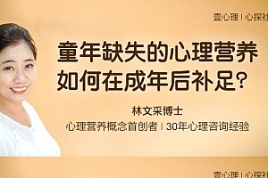 林文采《童年缺失的心理营养如何在成年后补足》百度云网盘 - MP4/5.18GB