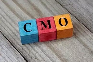 刘春华《CMO进阶课：中国式优秀营销总监108招》百度云网盘 - MP4/5.44GB