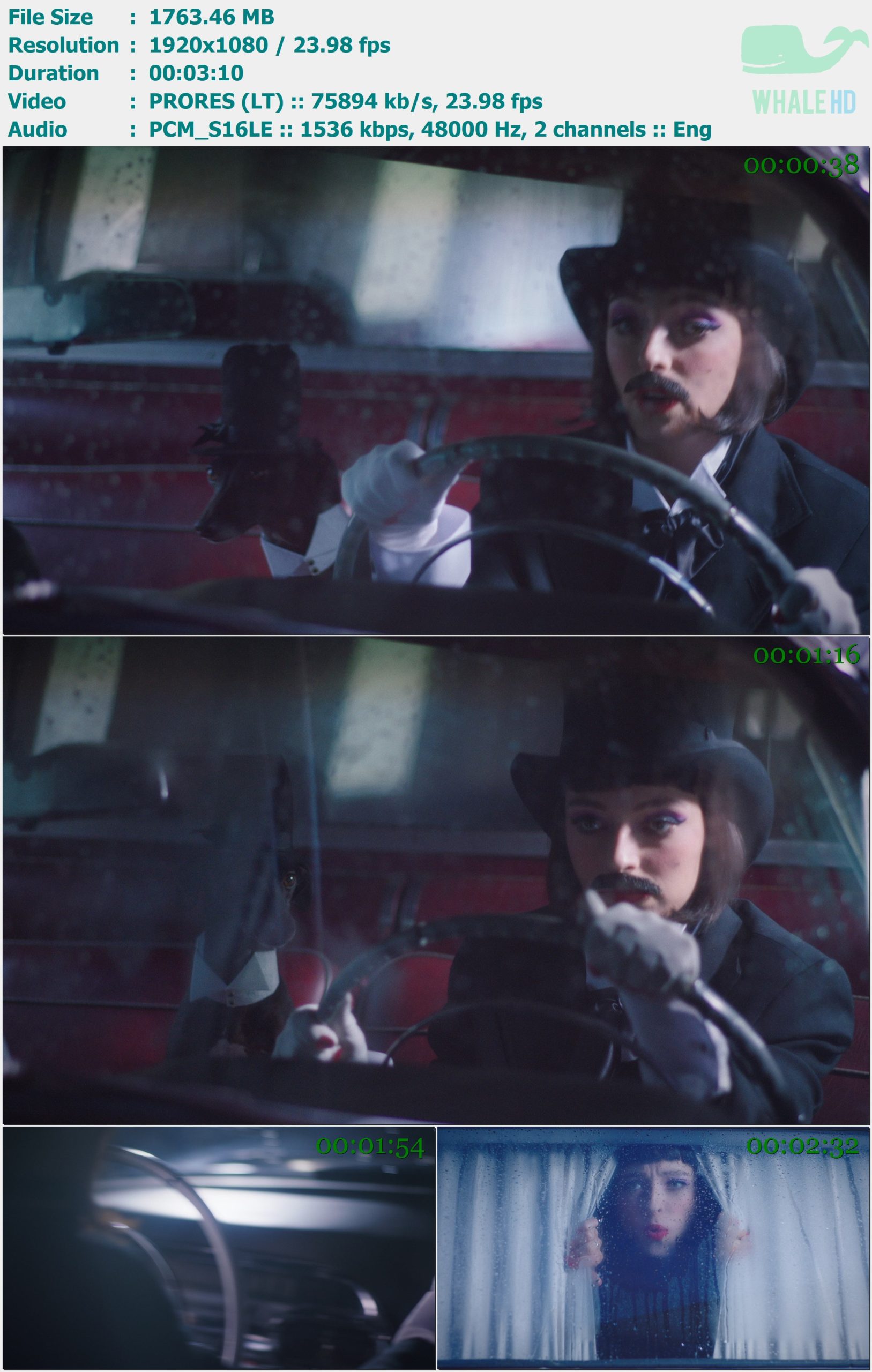 Stella Donnelly - Die 2019 Master 1080p ProRes - 1.72GB