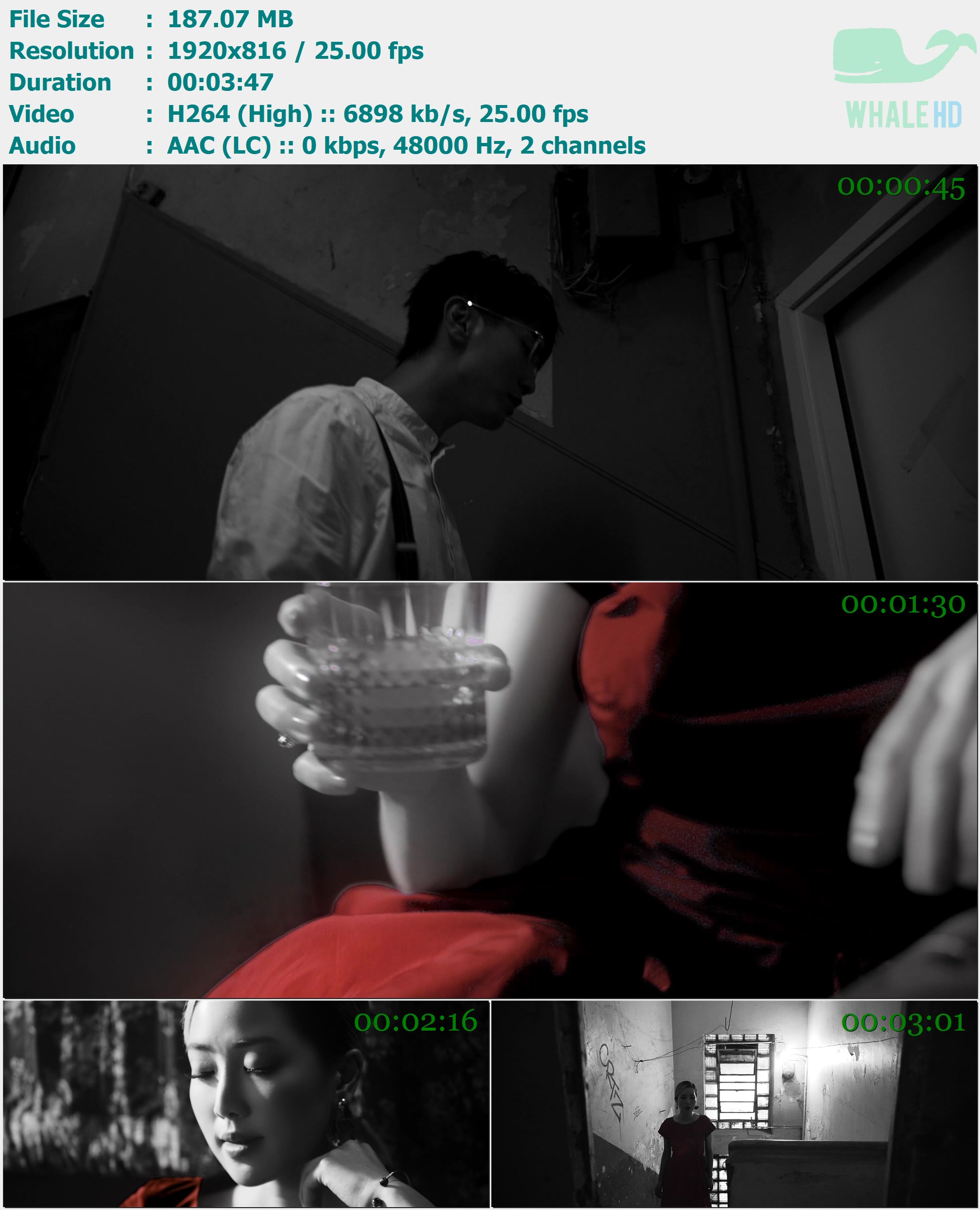 陈柏宇 (Jason Chan) & Kiri T - 10,000ft 2021 AM 816p H264 - 187.07MB