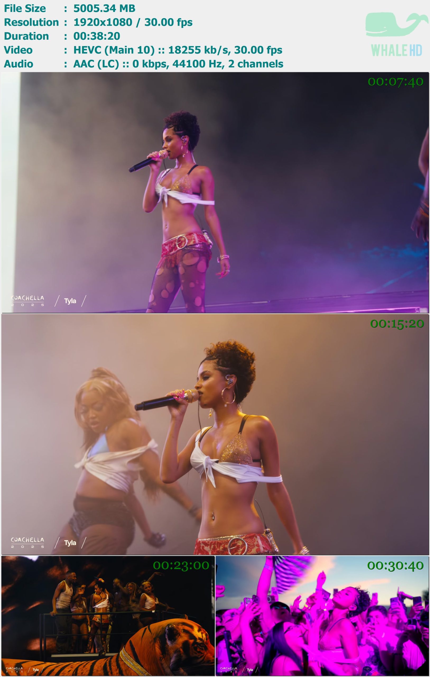 Tyla - Live from Coachella 科切拉音乐节 2025 WEBRip 1080p H265 - 4.89GB