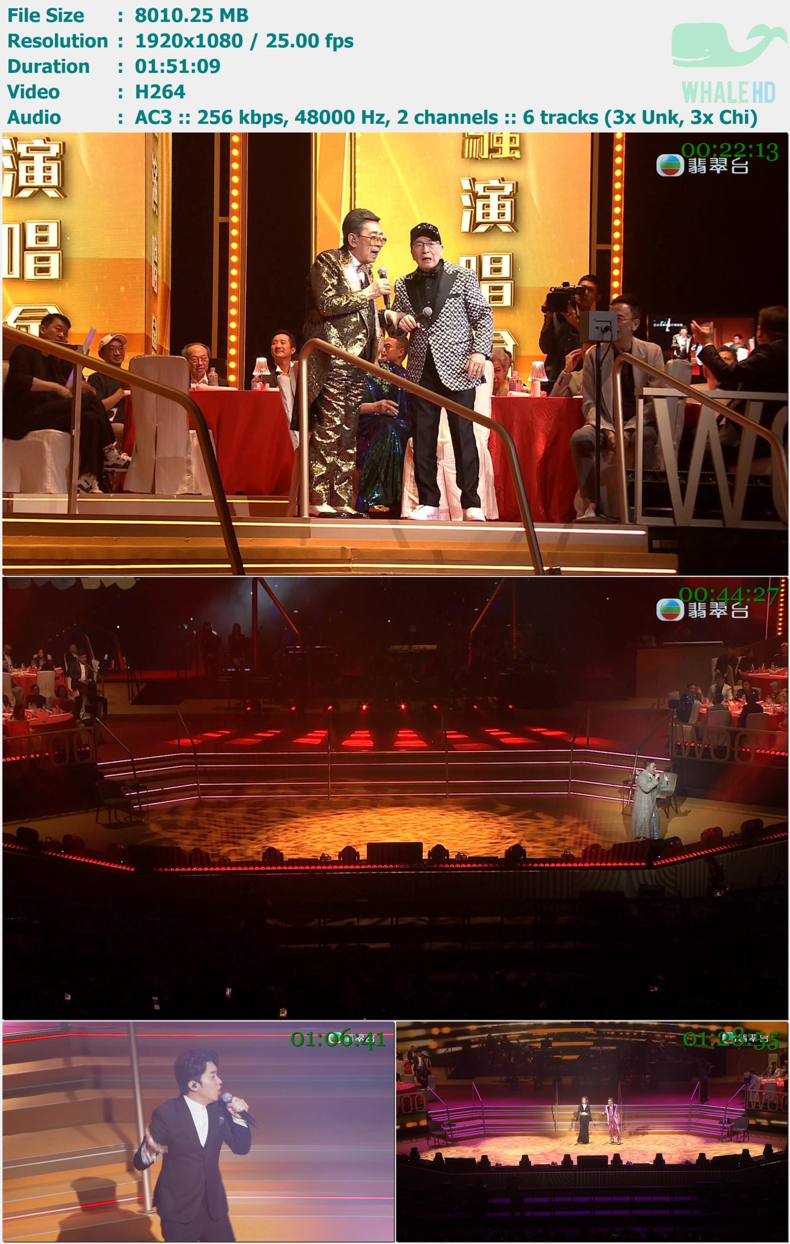 修哥无限枫骚演唱会 2024 HDTV 1080i H265+H264 - 7.45GB
