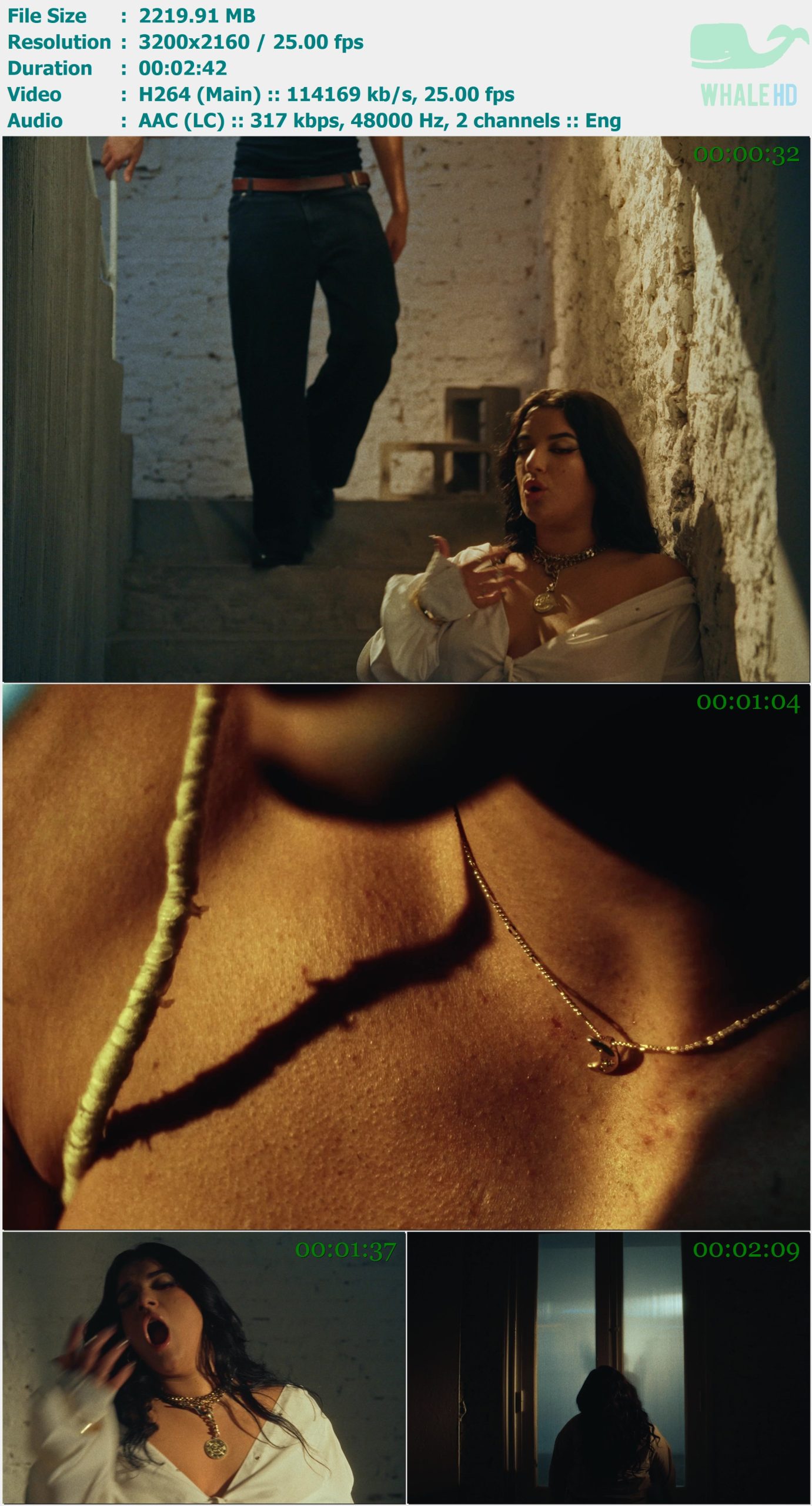 Luz Gaggi - Valentino 2025 MasterRip 2160p H264 - 2.17GB