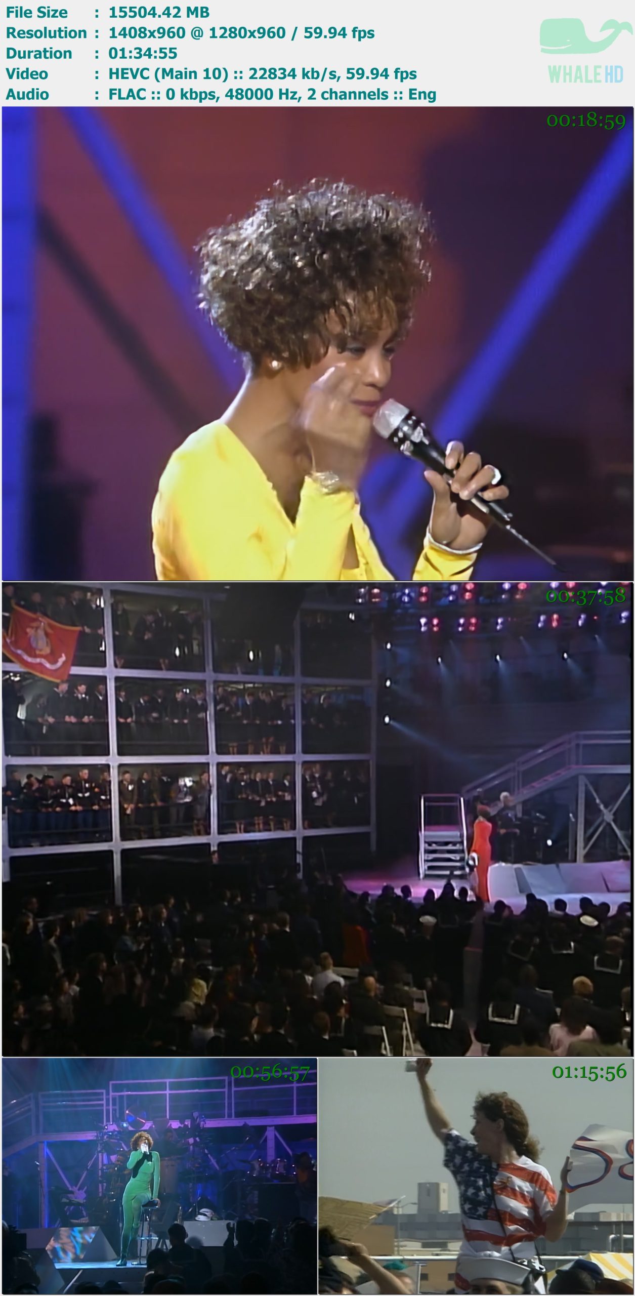 Whitney Houston 惠特妮·休斯顿 - Welcome Home Heroes - Live In Concert 1991 LD 960p H265 - 15.14GB