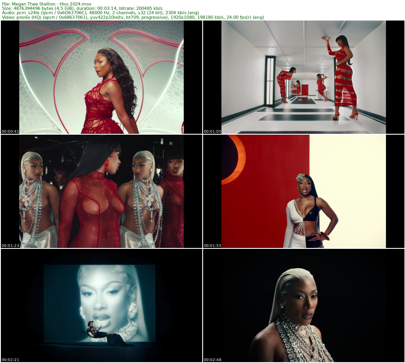 Megan Thee Stallion - Hiss 2024 Master 1080p ProRes - 4.54GB