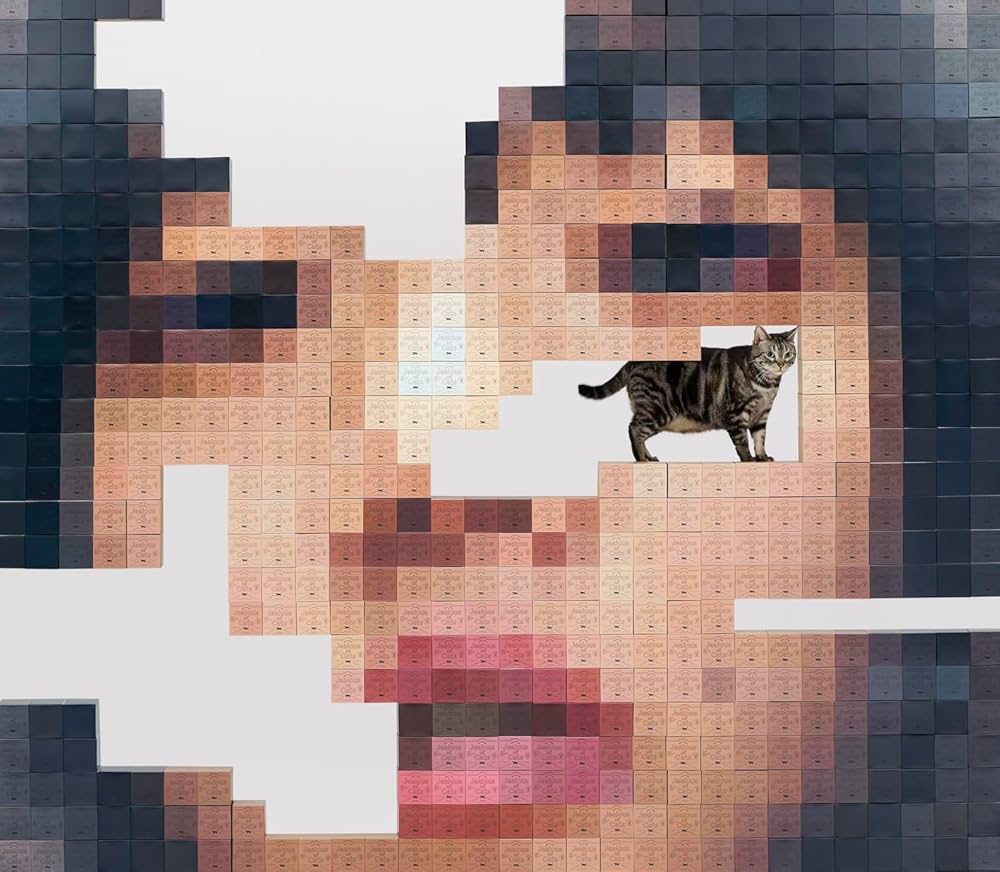 爱缪 Aimyon - 猫にジェラシー Neko ni Jealousy 2024 - AIMYON TOUR 2023 -MAGICAL BATHROOM- IN TOKYO GARDEN THEATER 2023 BD蓝光原盘+CD 1080p H264 - 67.01GB