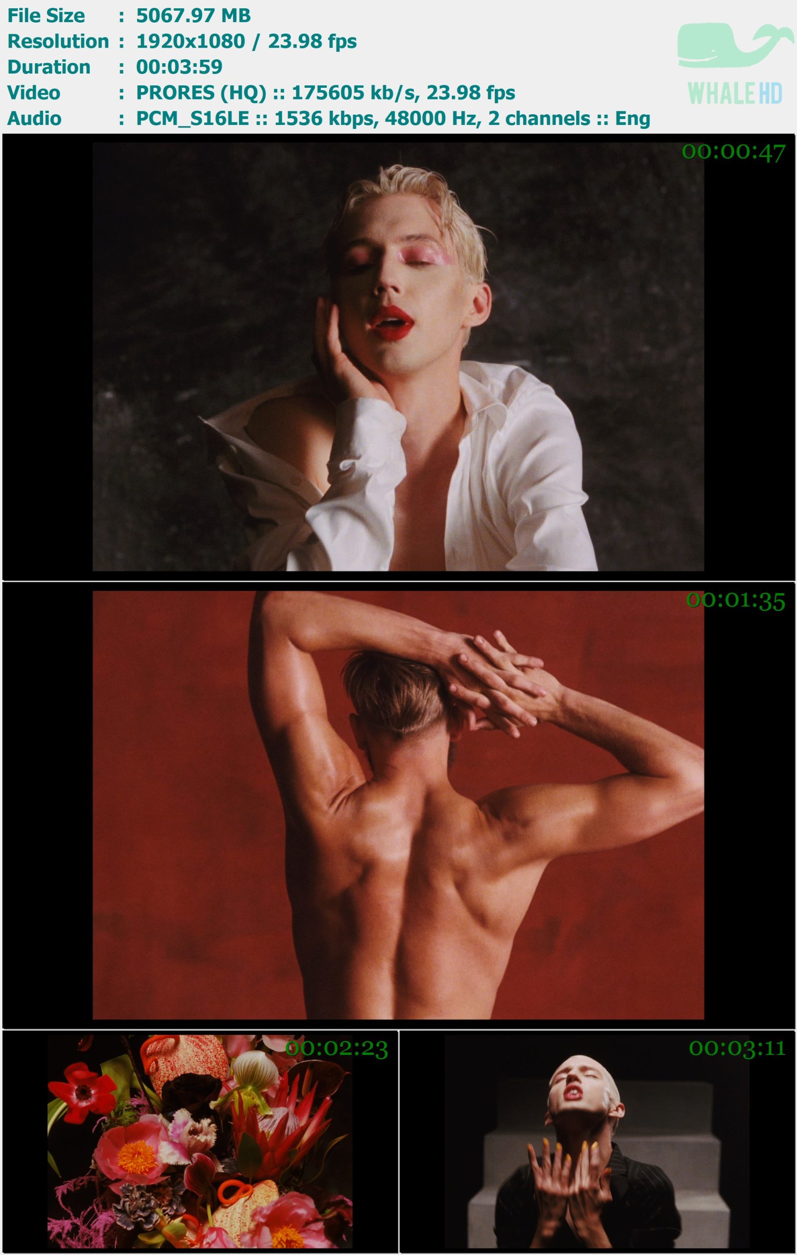Troye Sivan - Bloom 2018 Master 1080p ProRes - 4.95GB