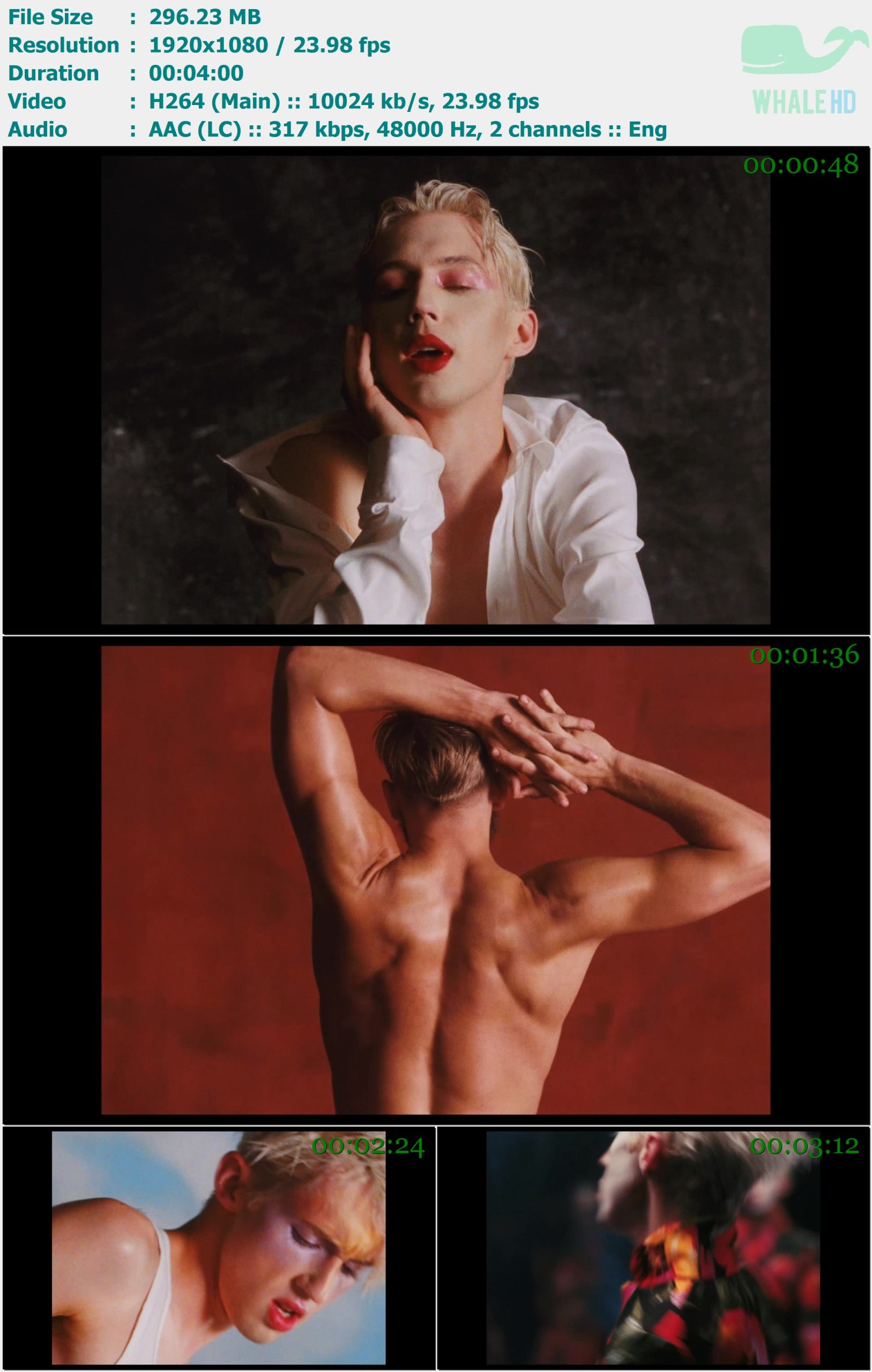 Troye Sivan - Bloom 2018 MasterRip 1080p H264 - 296.23MB