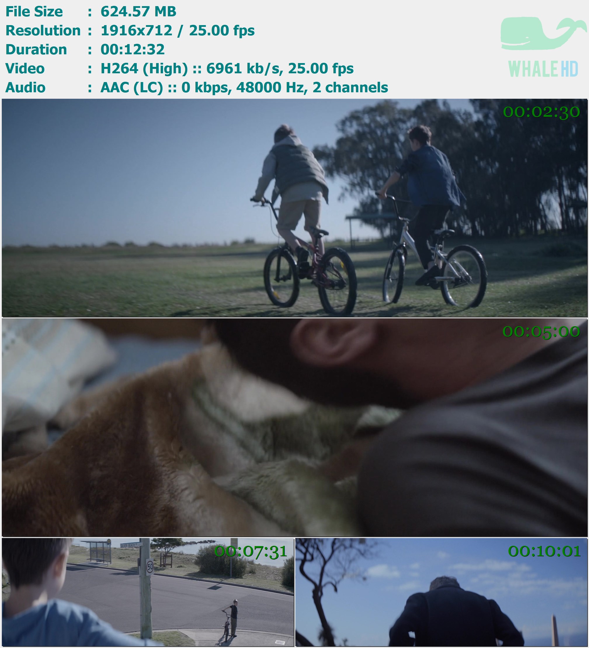 Troye Sivan - Blue Neighbourhood Trilogy (Director's Cut) 2016 AM 712p H264 - 624.57MB