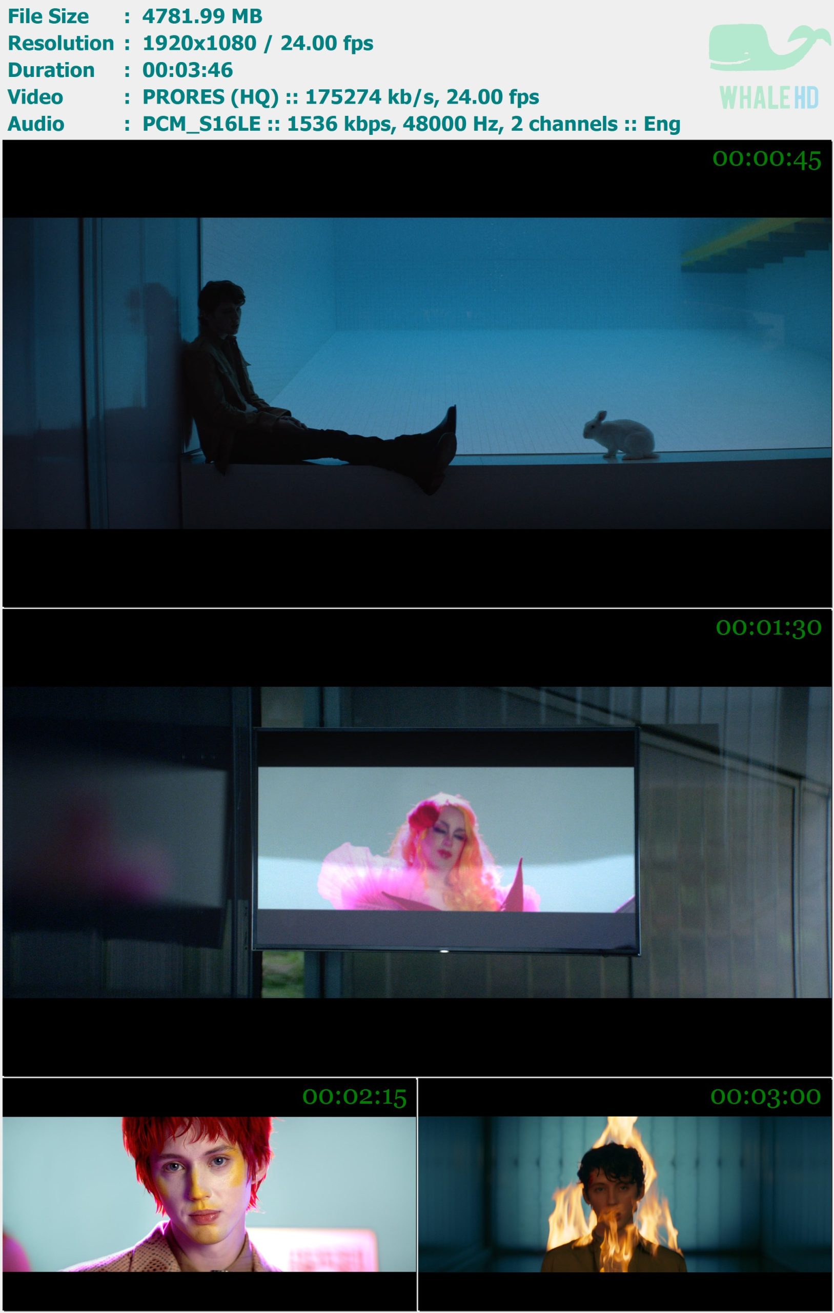 Troye Sivan - Easy 2020 Master 1080p ProRes - 4.67GB