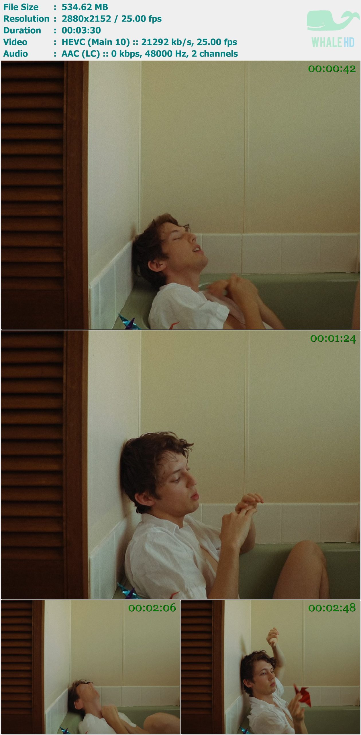 Troye Sivan - Rager teenager! 2020 AM 2152p H265 - 534.62MB