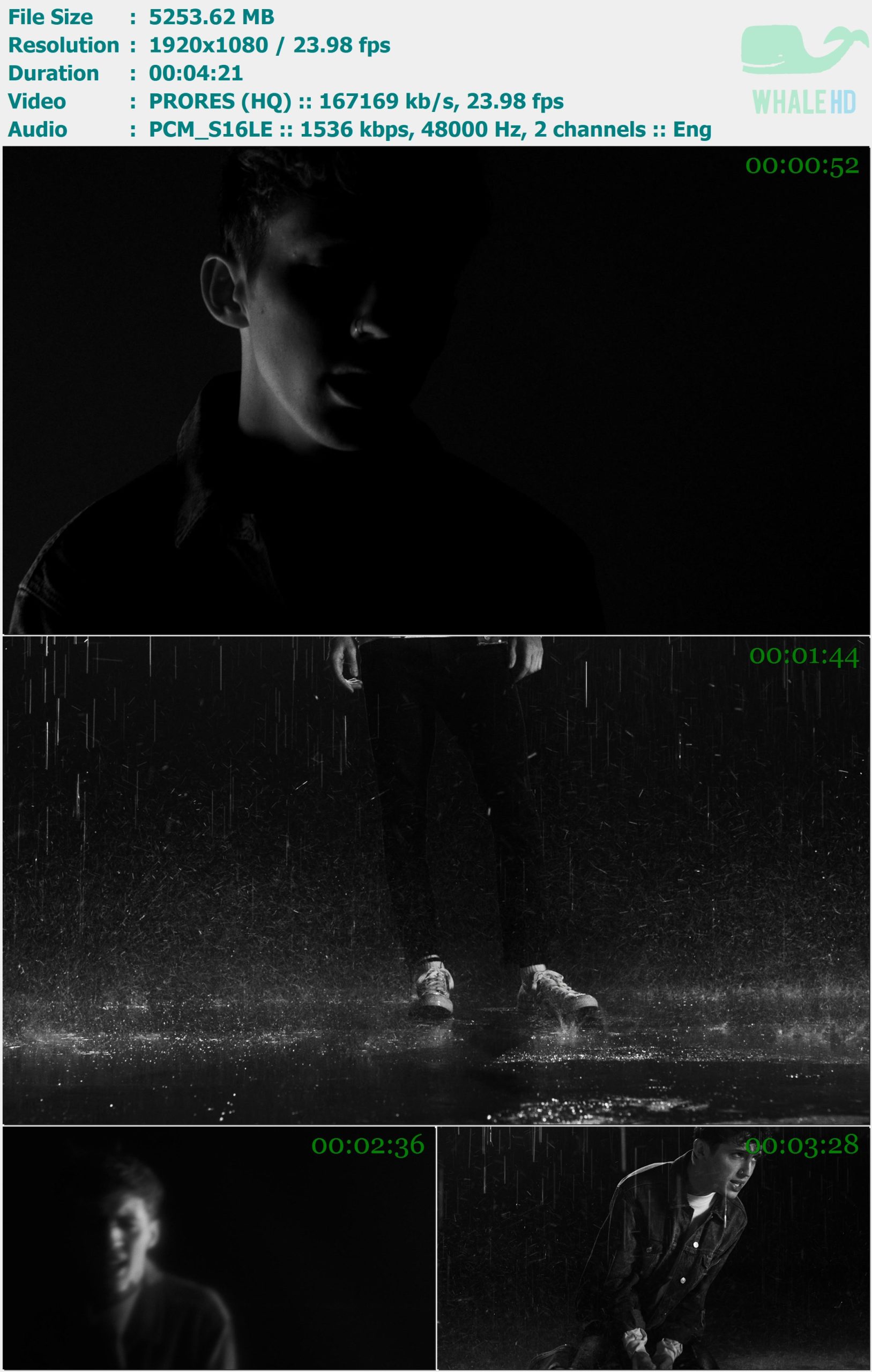 Troye Sivan feat. Betty Who - Heaven 2017 Master 1080p ProRes - 5.13GB